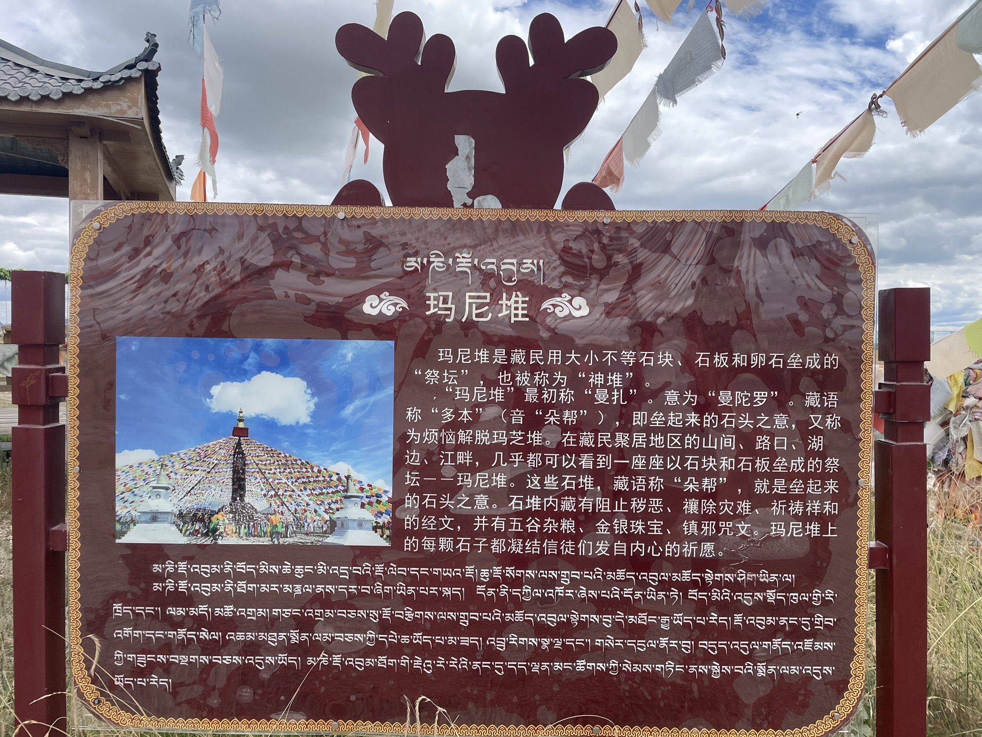 若尔盖热尔部落梅花鹿生态园旅行图片 1