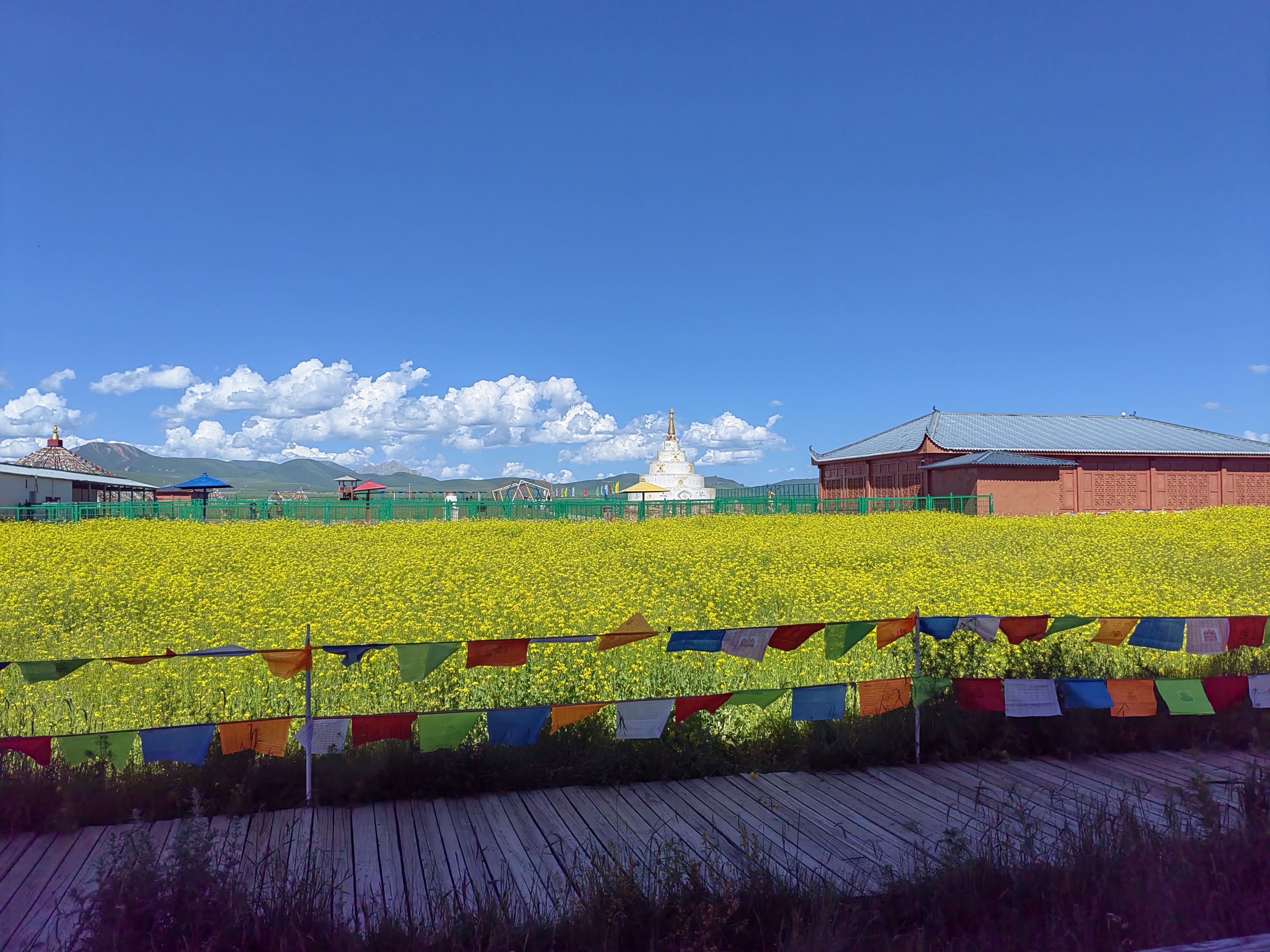 若尔盖热尔部落梅花鹿生态园旅行图片 2
