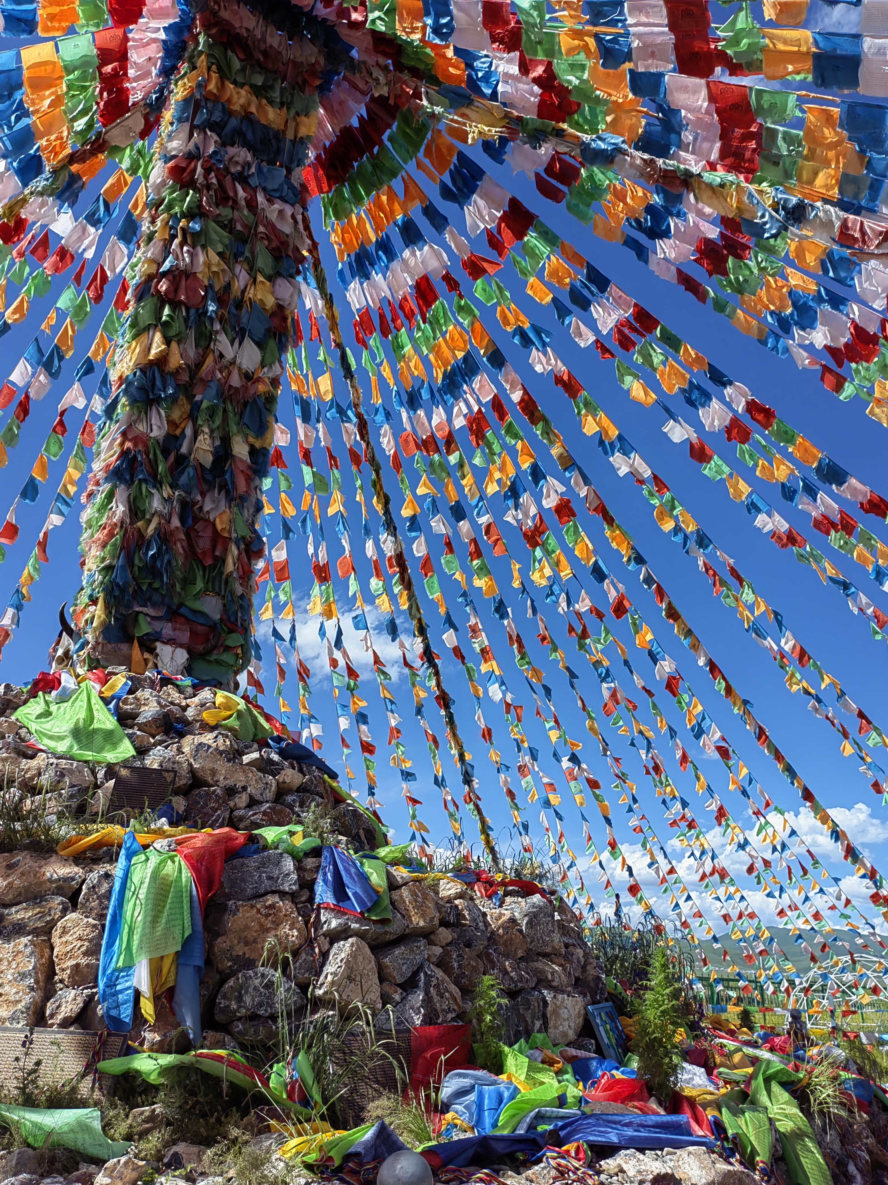 若尔盖热尔部落梅花鹿生态园旅行图片 3