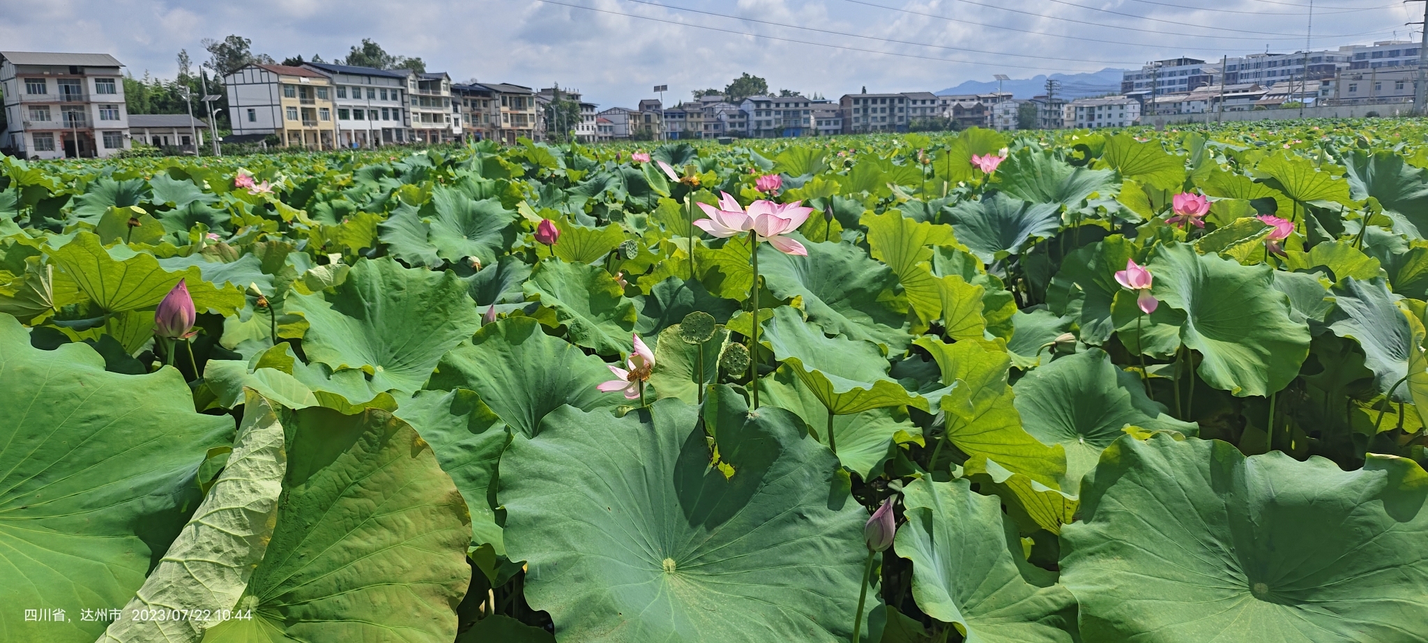 开江莲花世界蜗牛山观景塔旅行图片 3