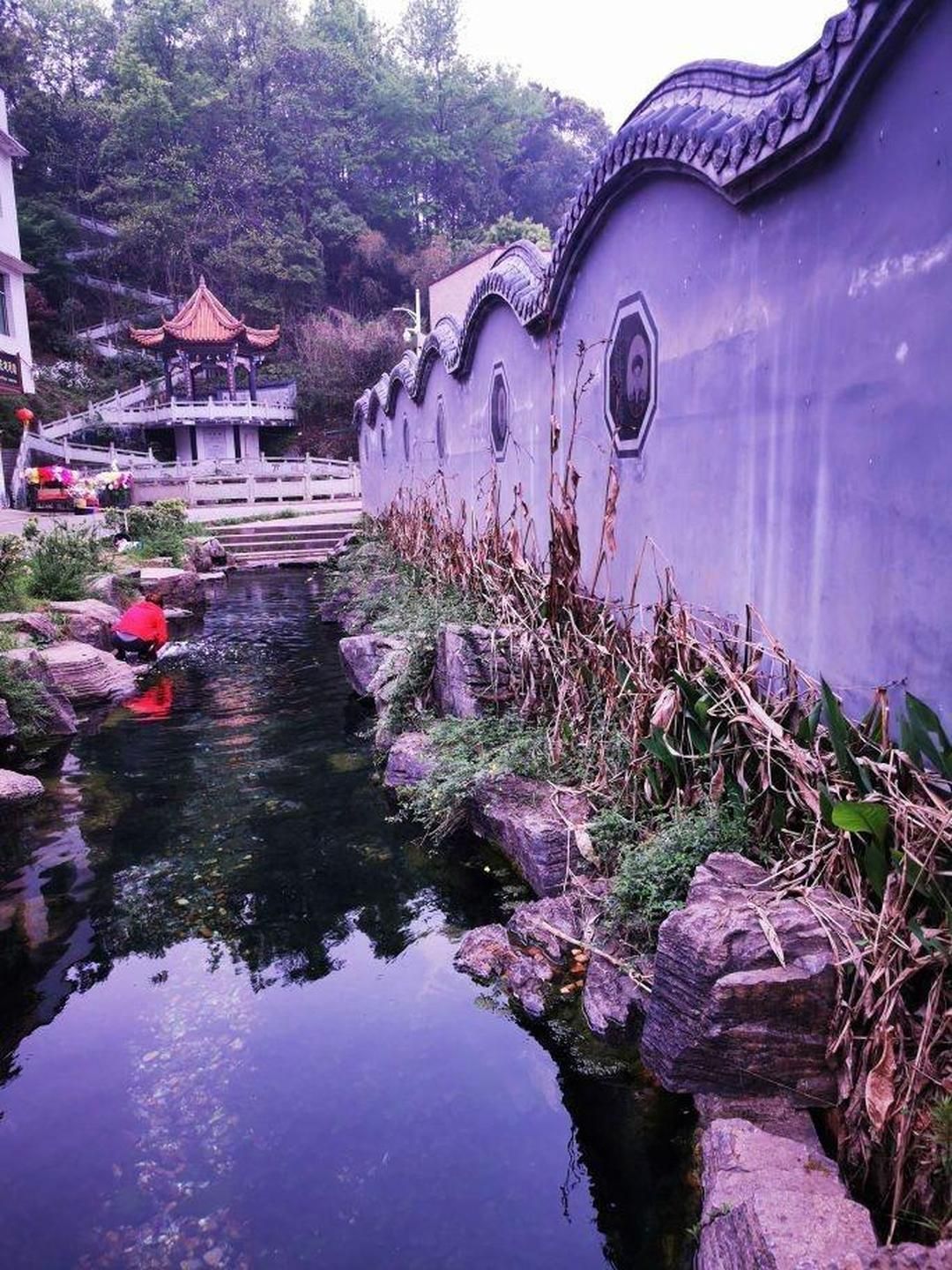 碧泉潭旅行图片 3