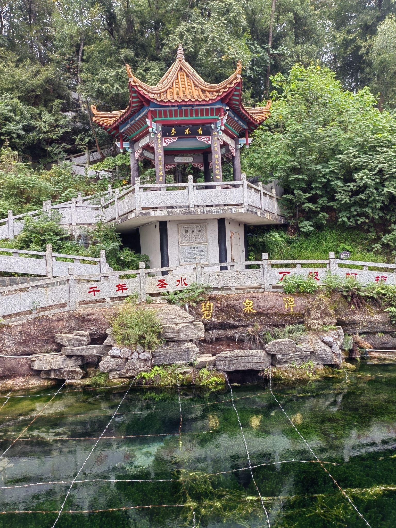 碧泉潭旅行图片 2