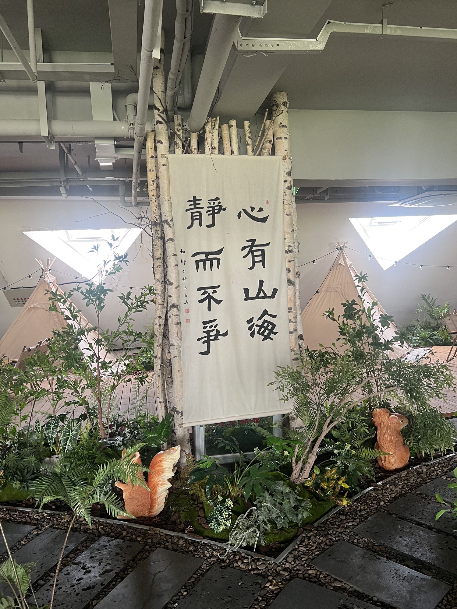 碱水河国家湿地公园旅行图片 3