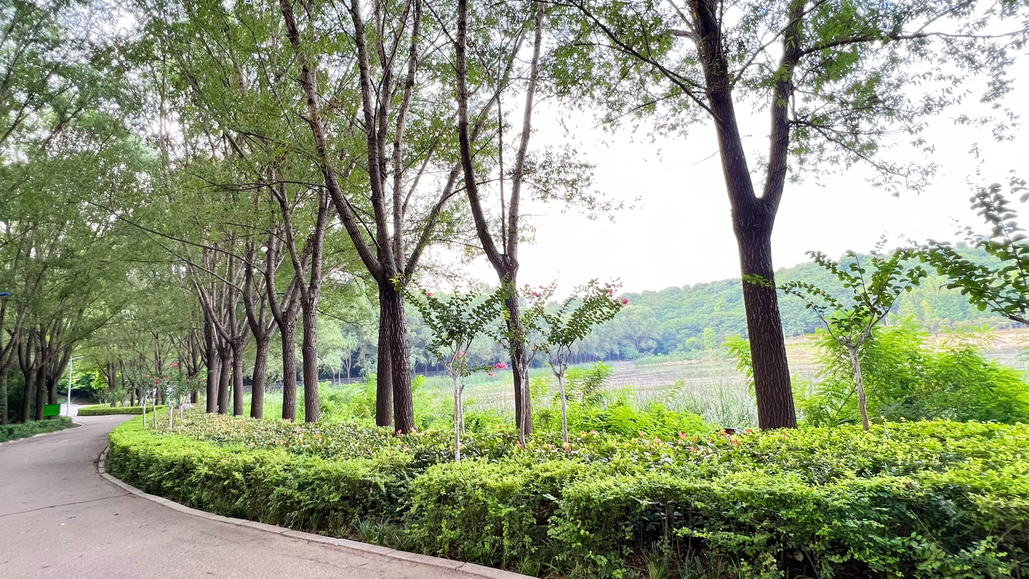 濮水公园旅行图片 1