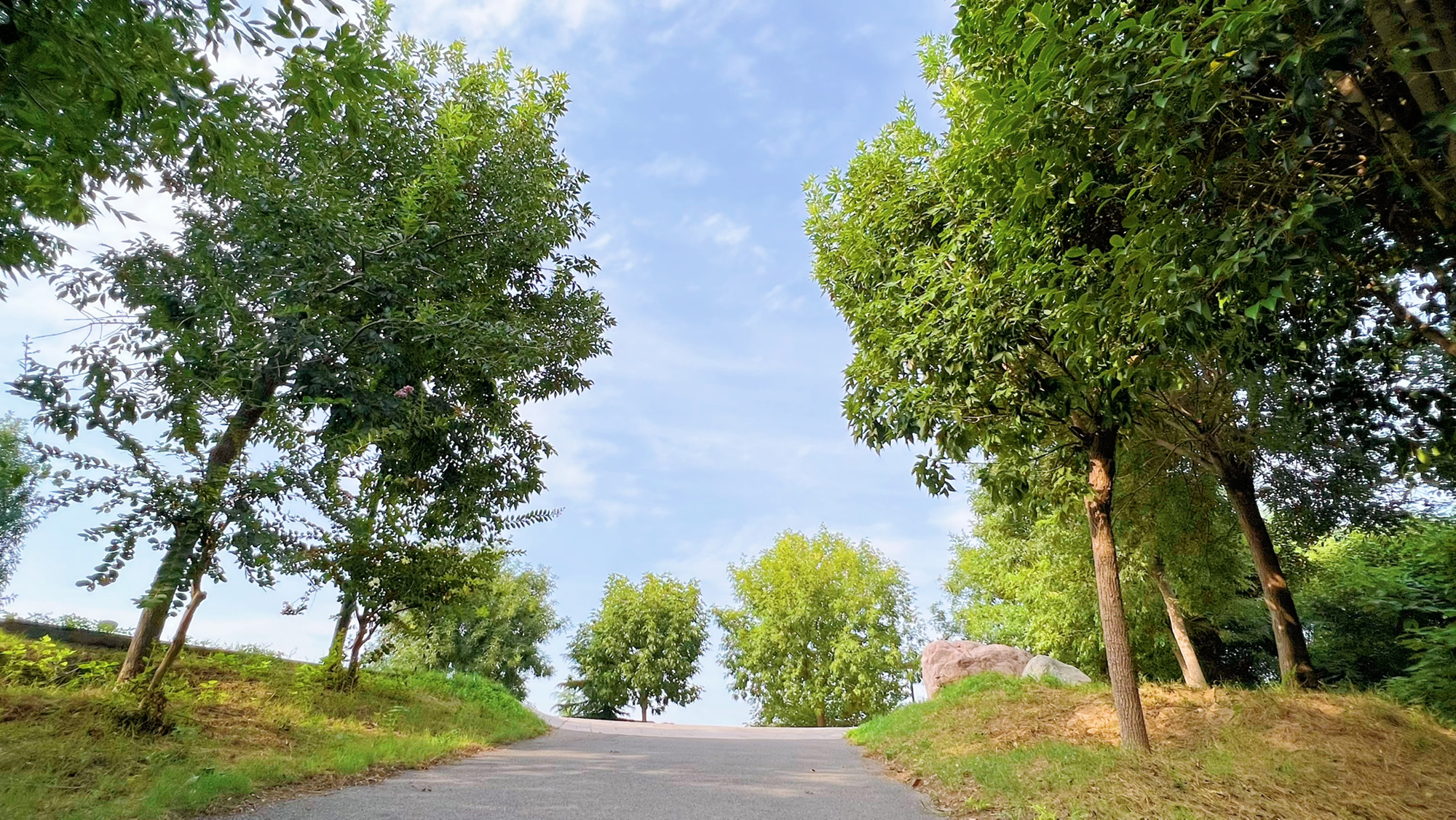 濮水公园旅行图片 3