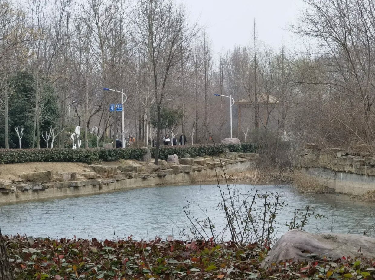 濮水公园旅行图片 3