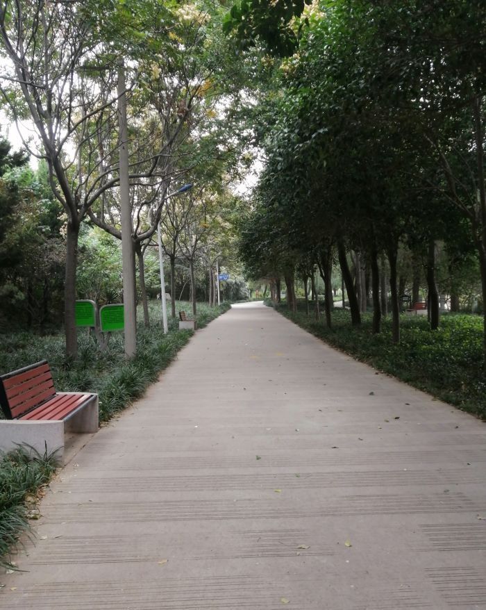 濮水公园旅行图片 1