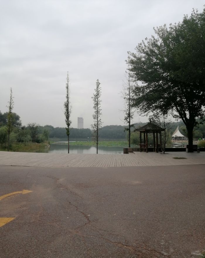 濮水公园旅行图片 2