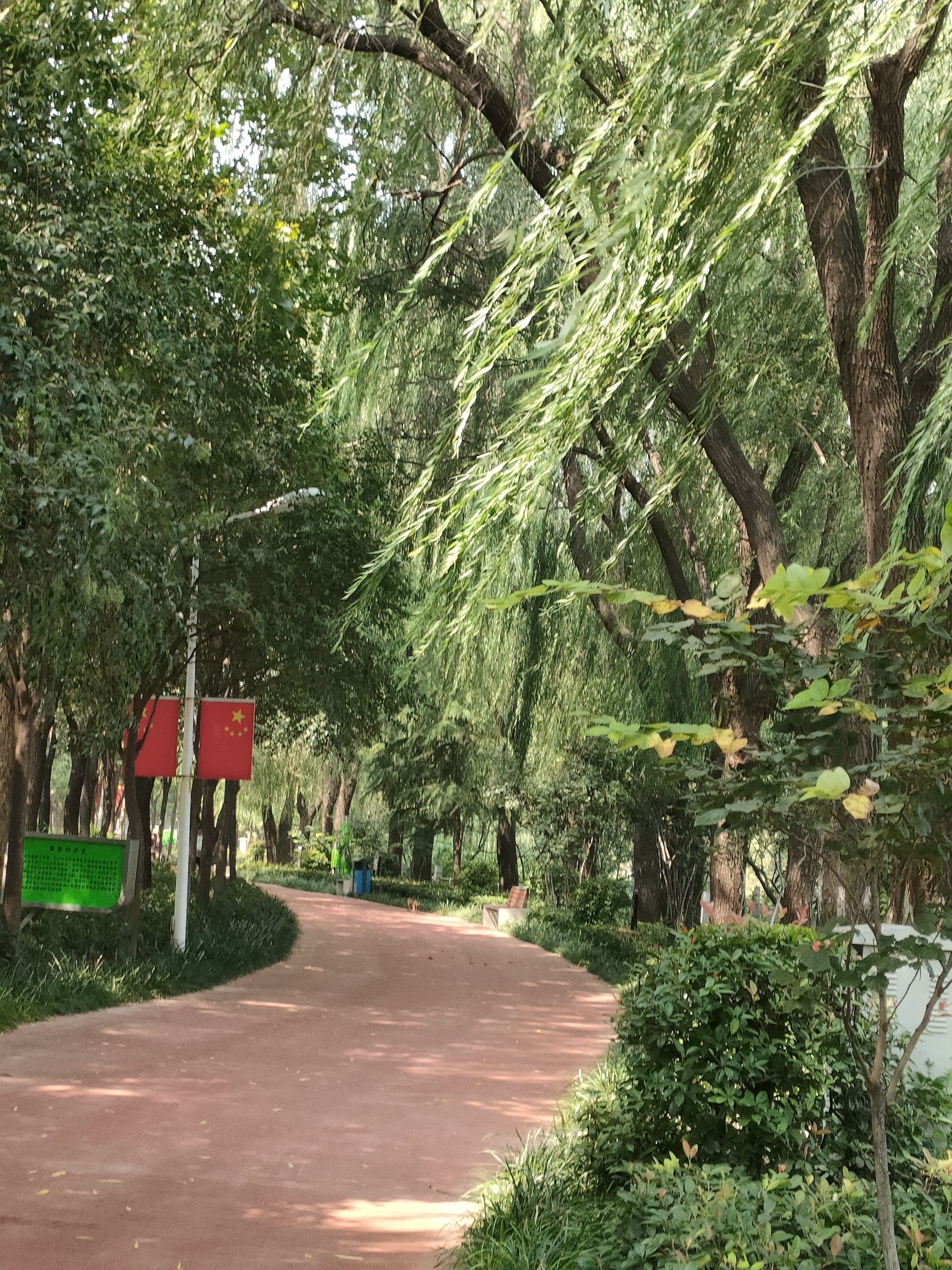 濮水公园旅行图片 3