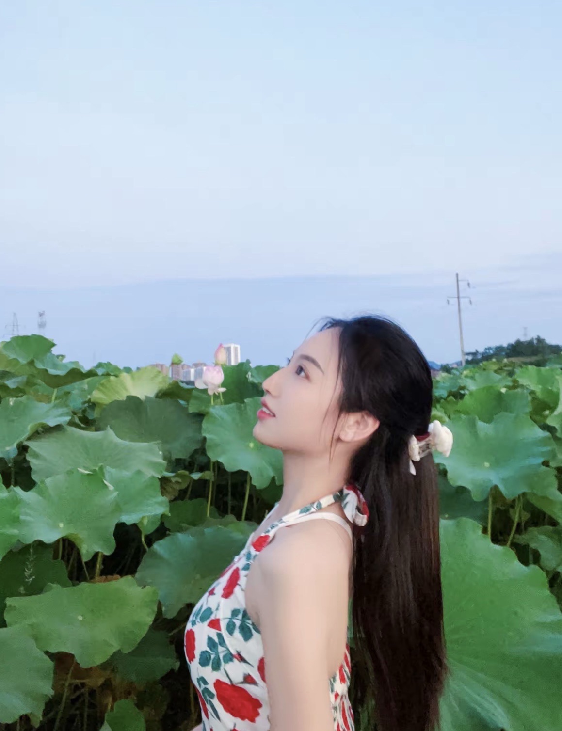 开江金山景区旅行图片 1