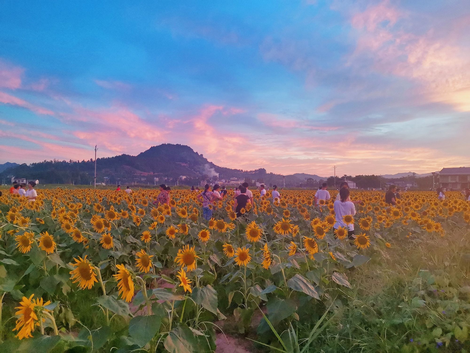 开江金山景区旅行图片 1