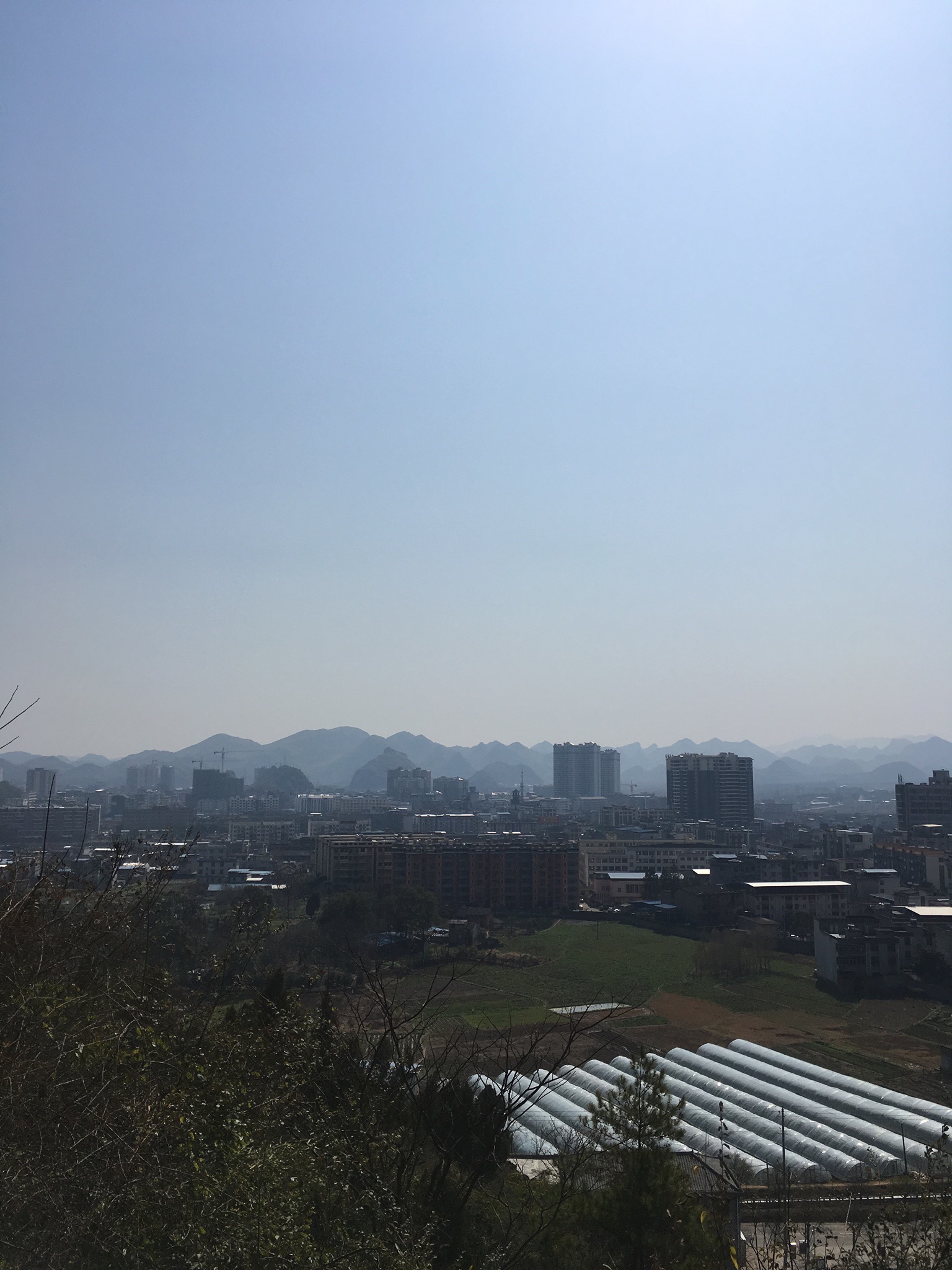 凤凰广场旅行图片 3