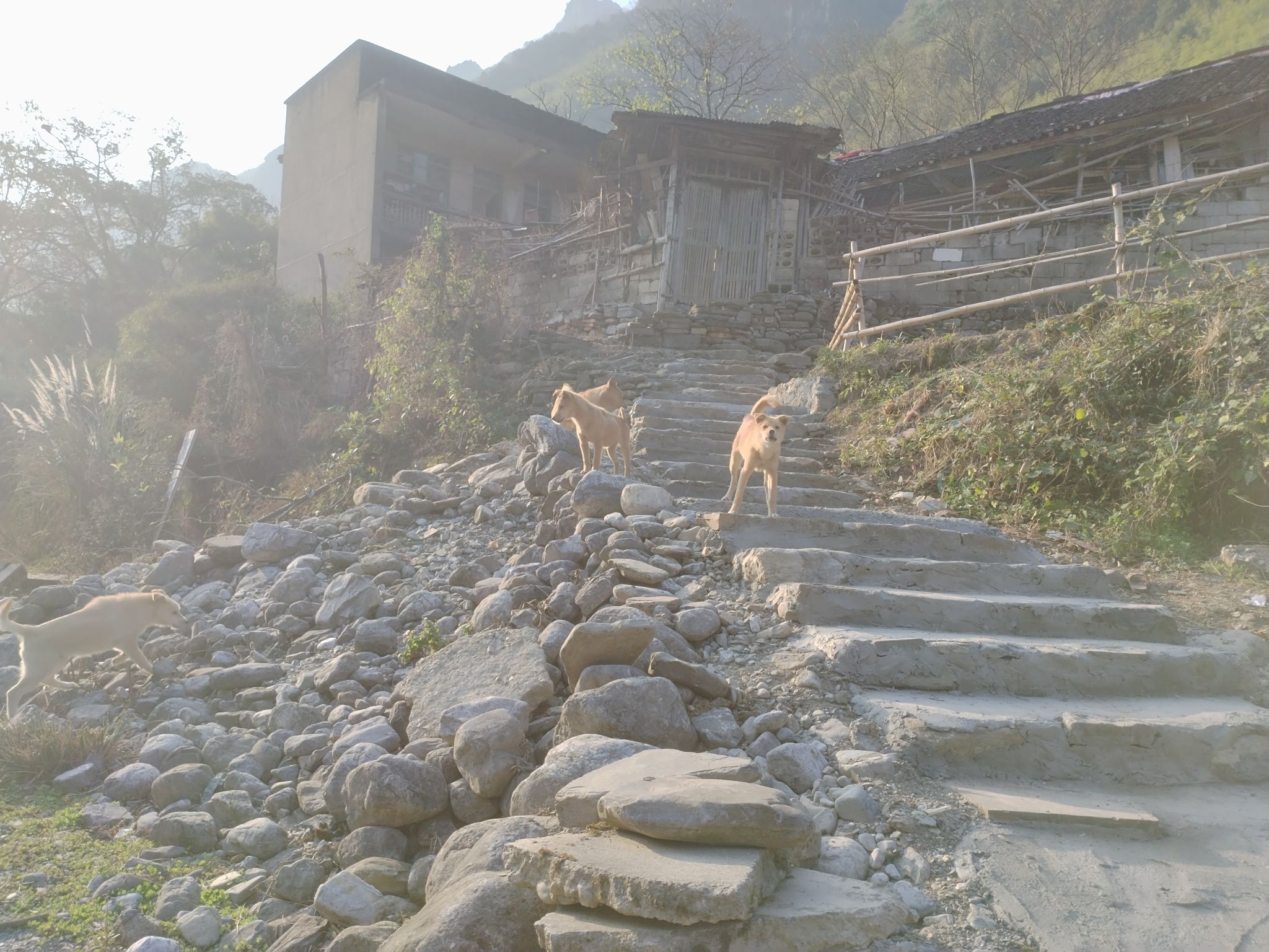 仙人溪旅行图片 1