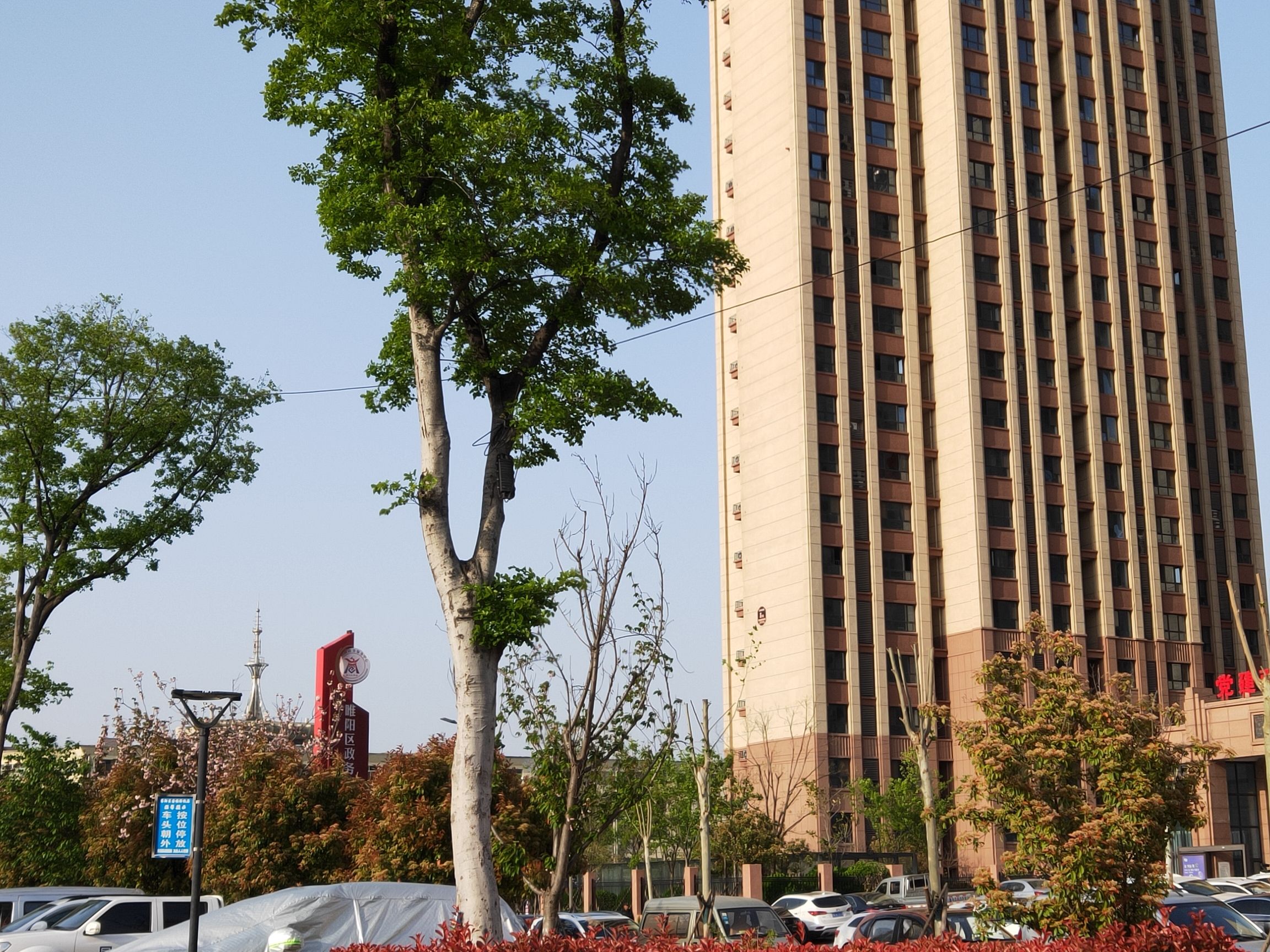 北海公园旅行图片 1