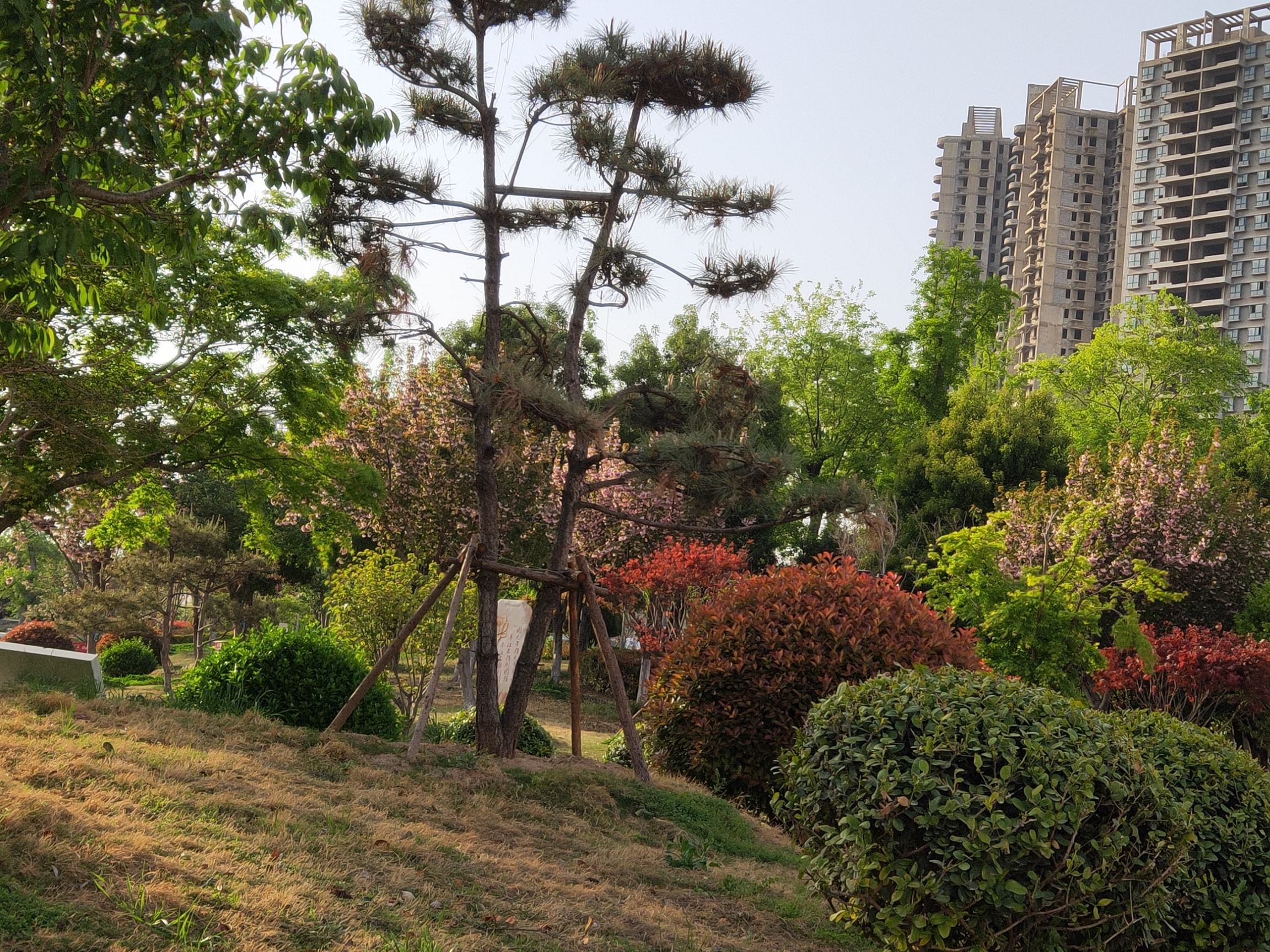 北海公园旅行图片 2