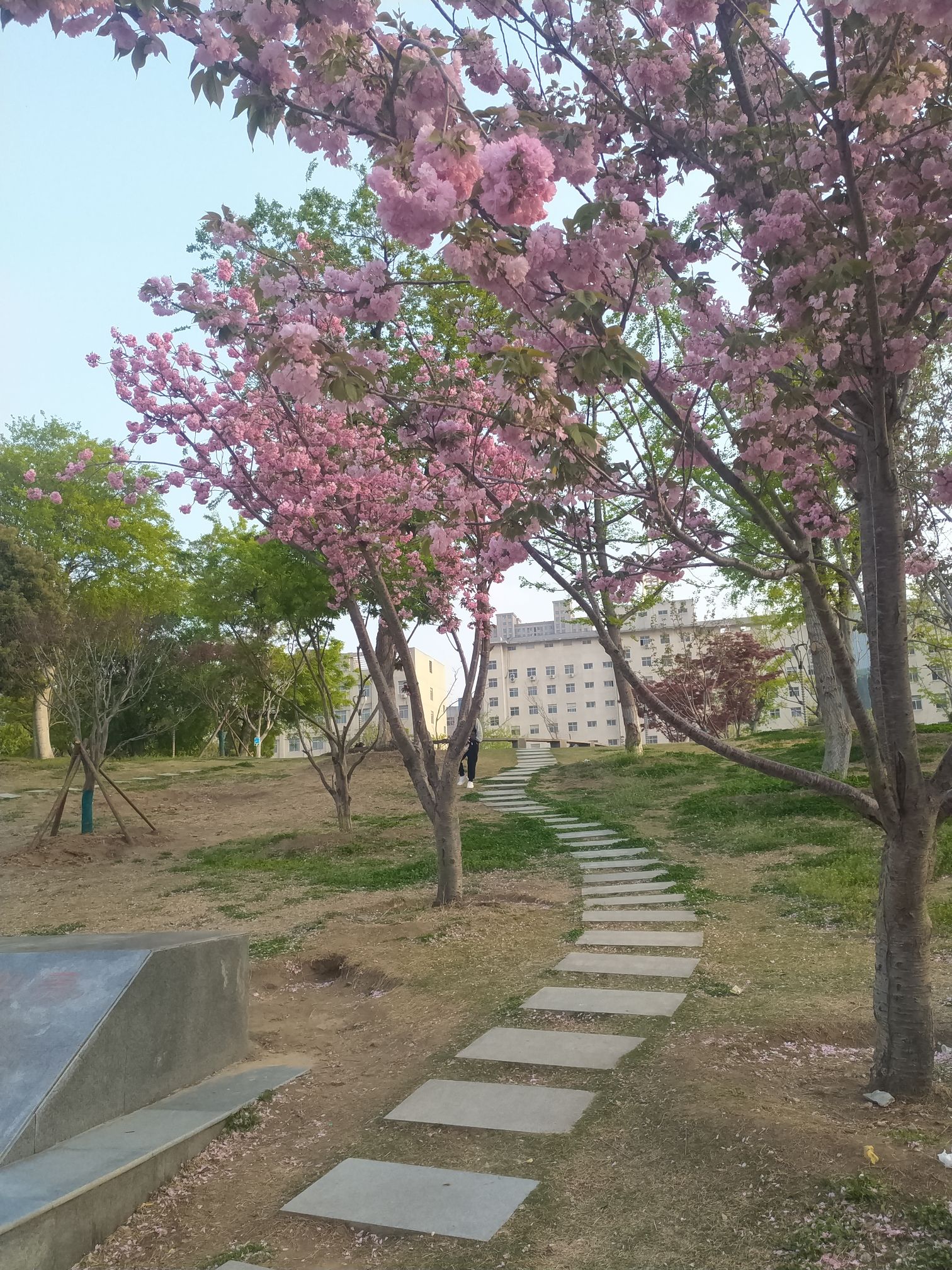 北海公园旅行图片 2