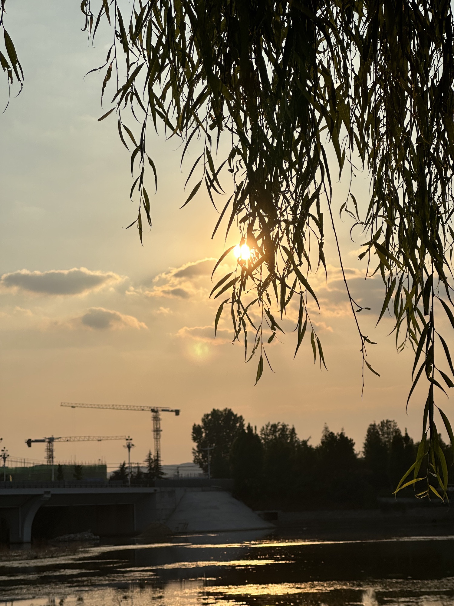 文昌湖公园旅行图片 1