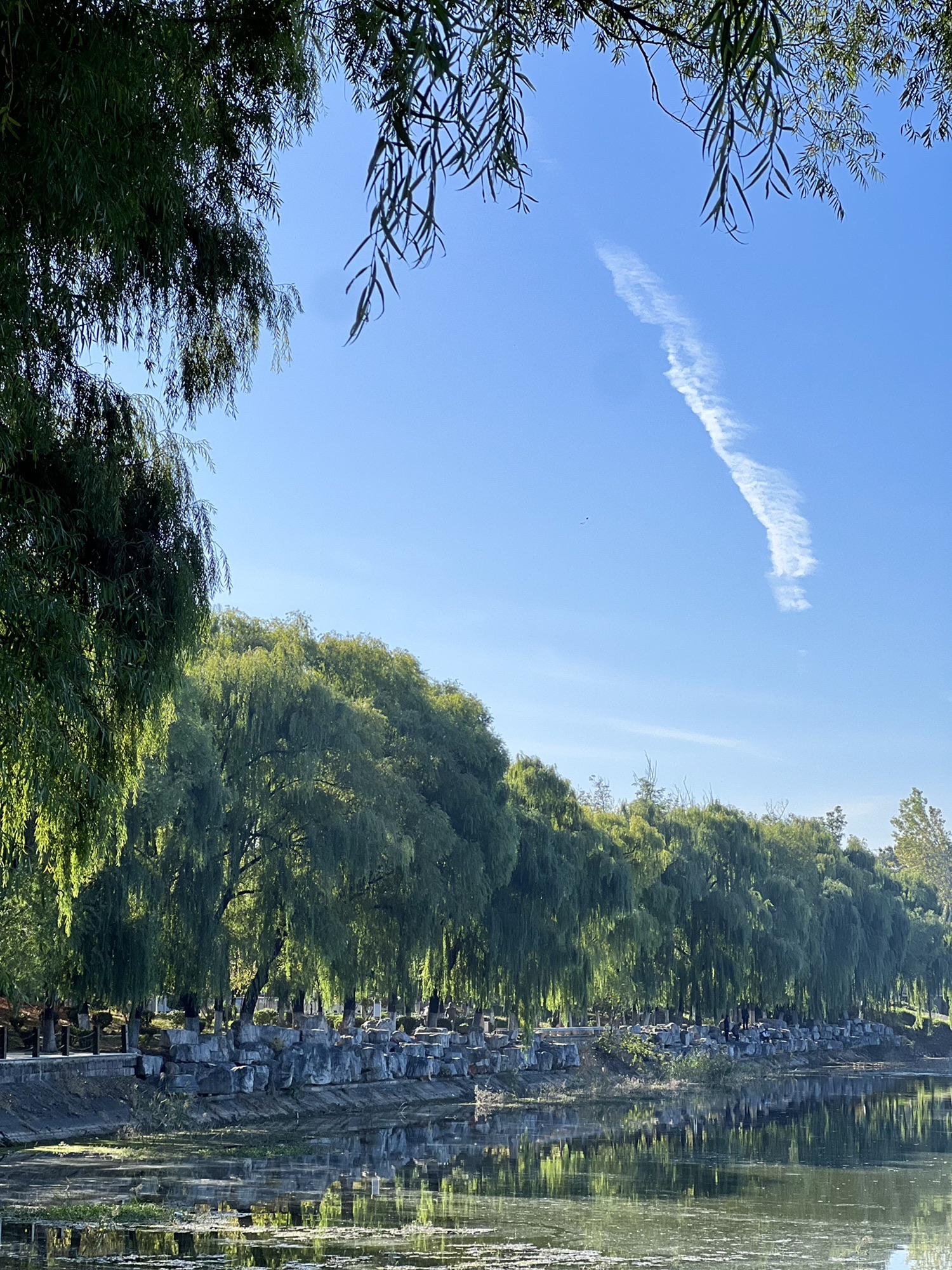 文昌湖公园旅行图片 2