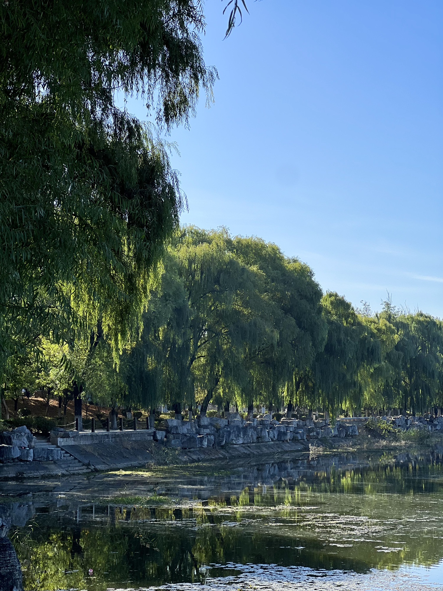 文昌湖公园旅行图片 1