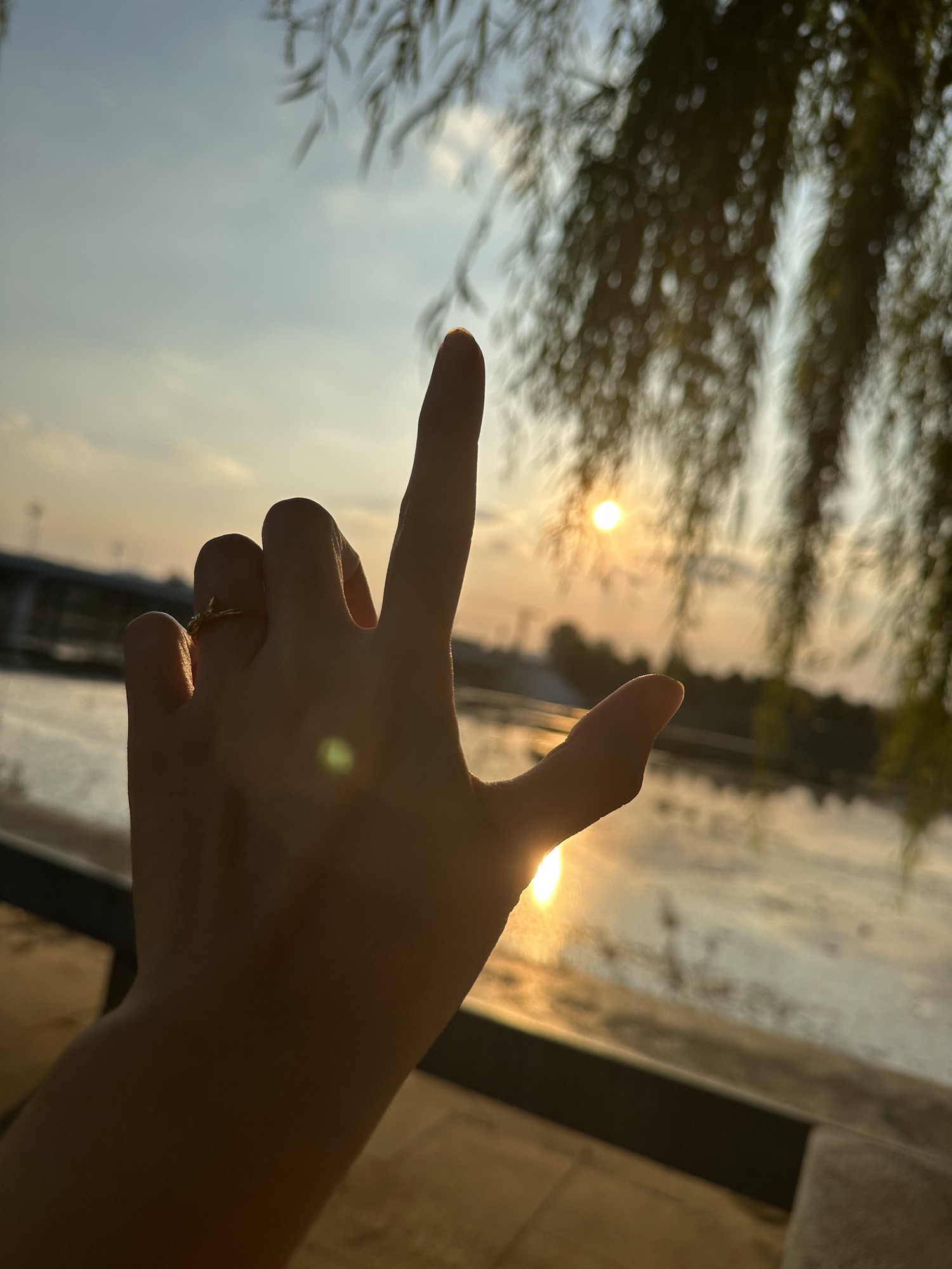 文昌湖公园旅行图片 2