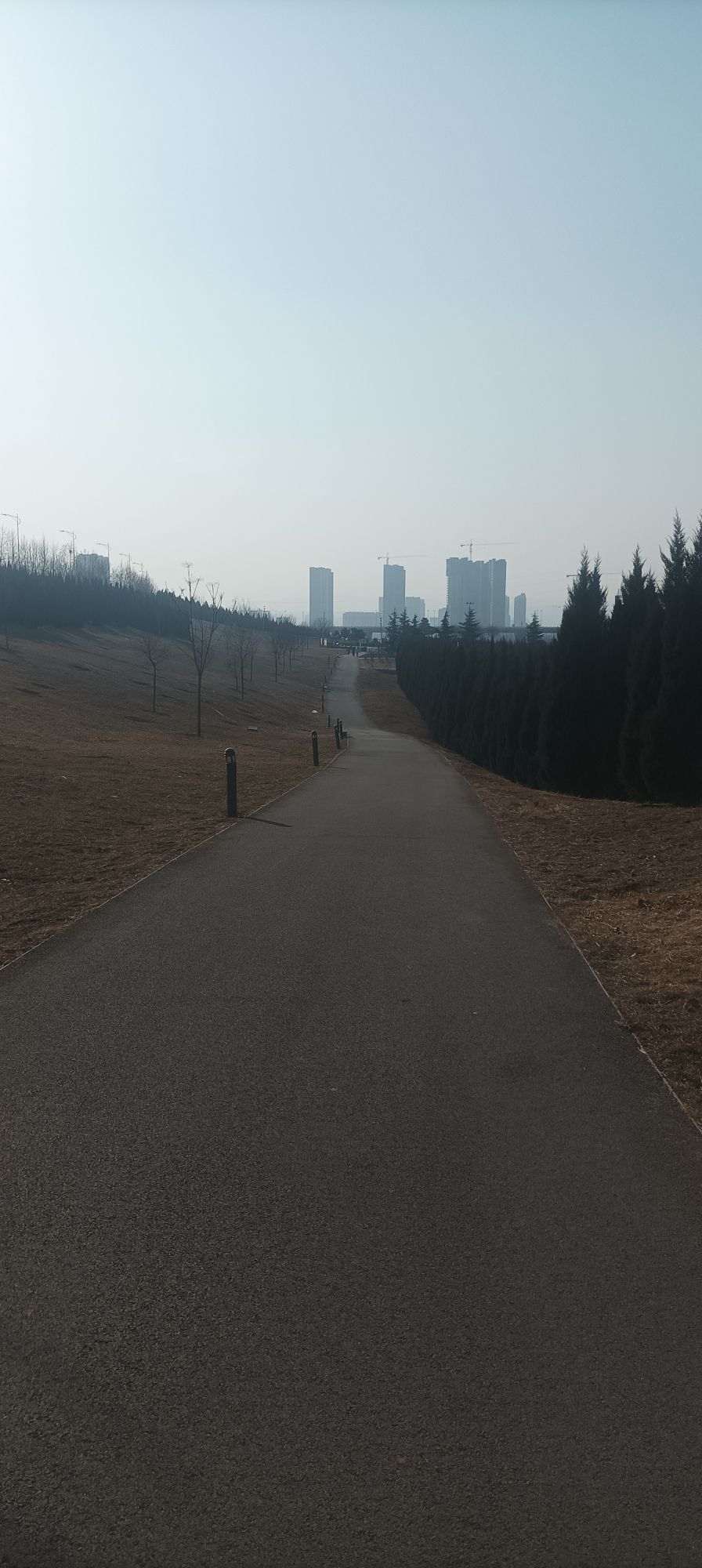 花园水系食品安全主题公园旅行图片 1