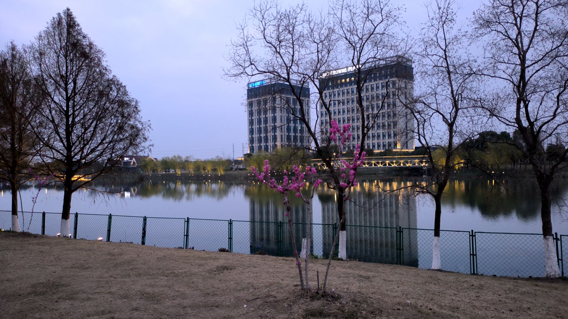 金水湿地公园旅行图片 2