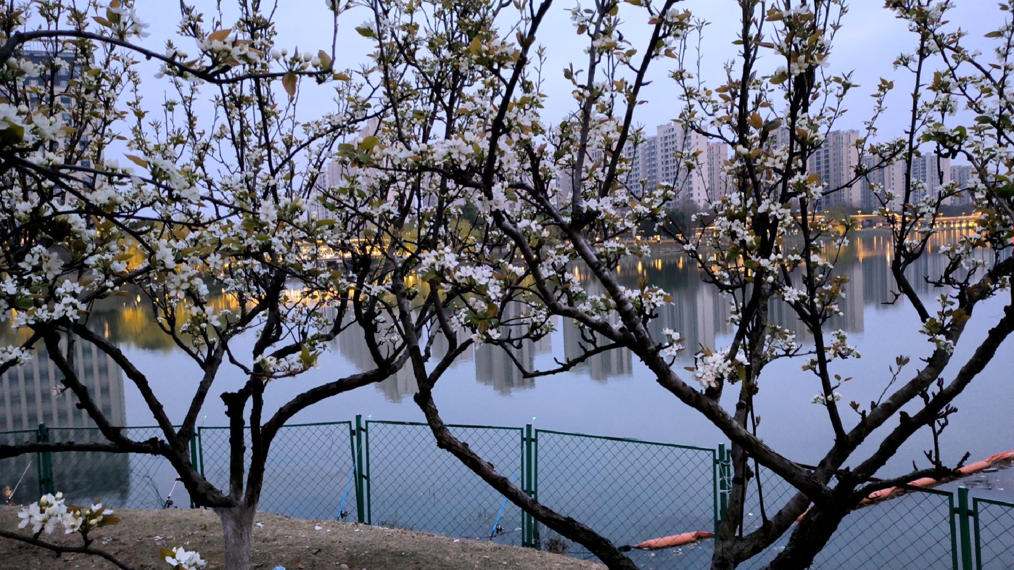 金水湿地公园旅行图片 1