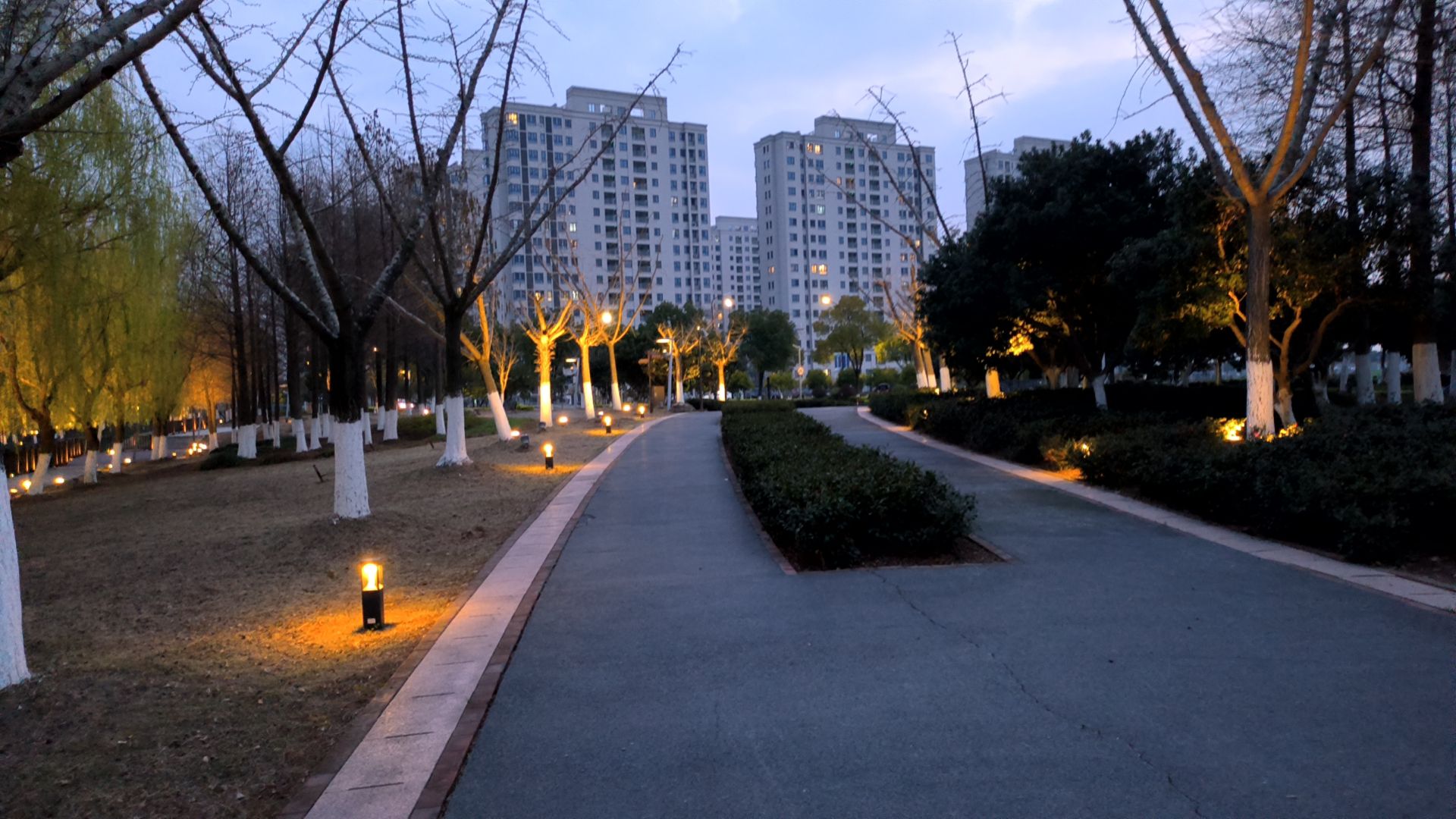 金水湿地公园旅行图片 3
