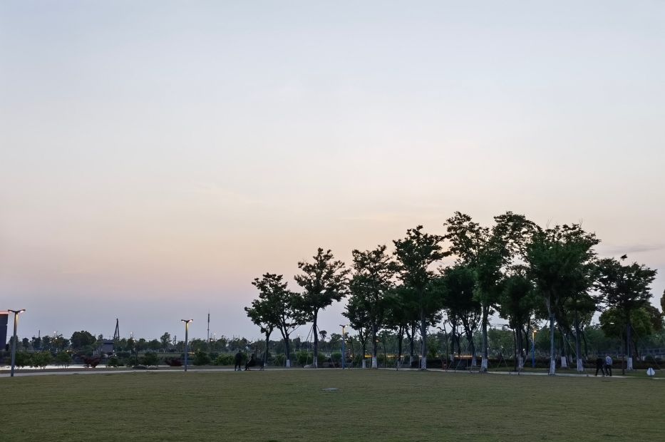 金水湿地公园旅行图片 2