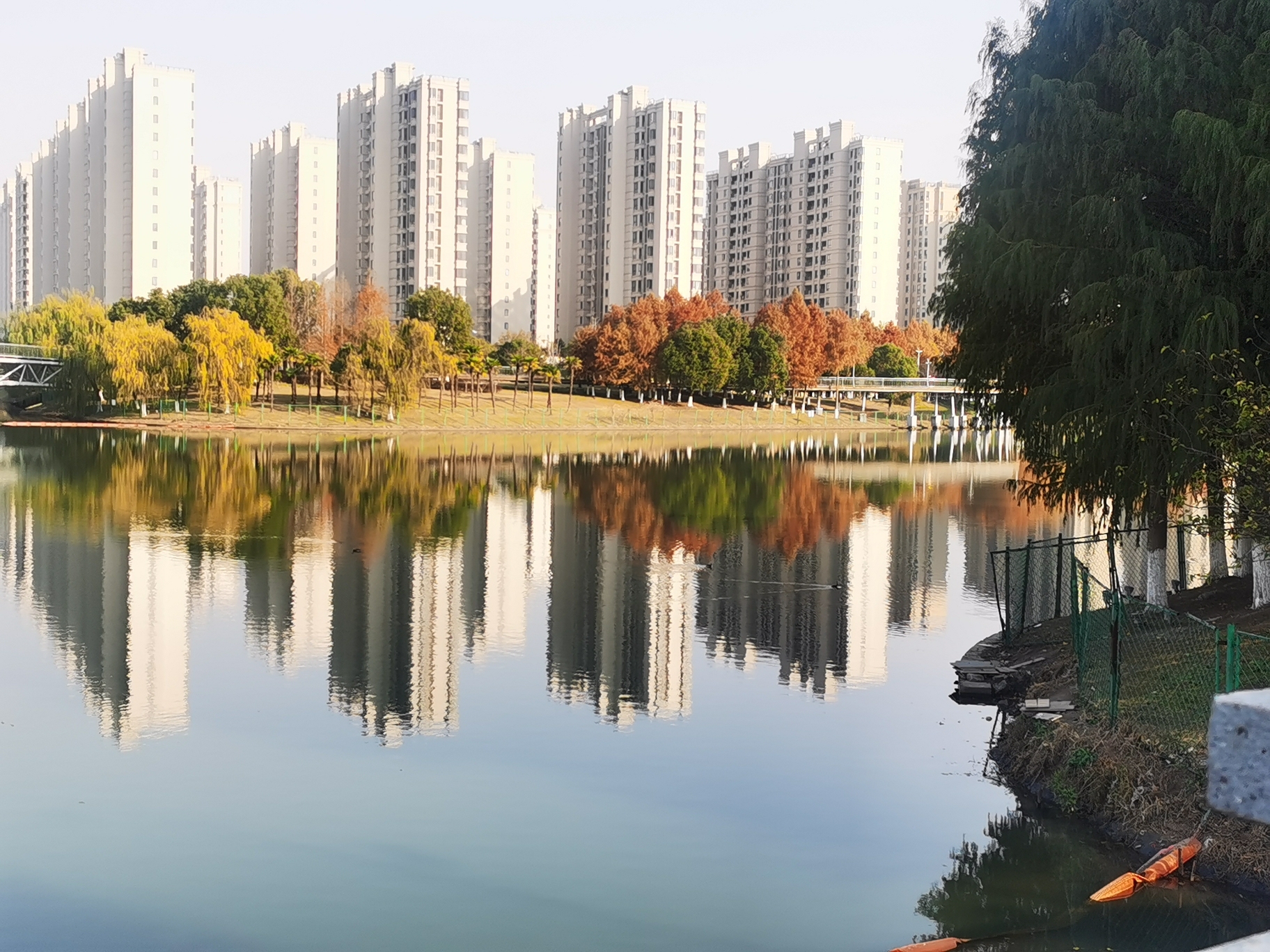 金水湿地公园旅行图片 1