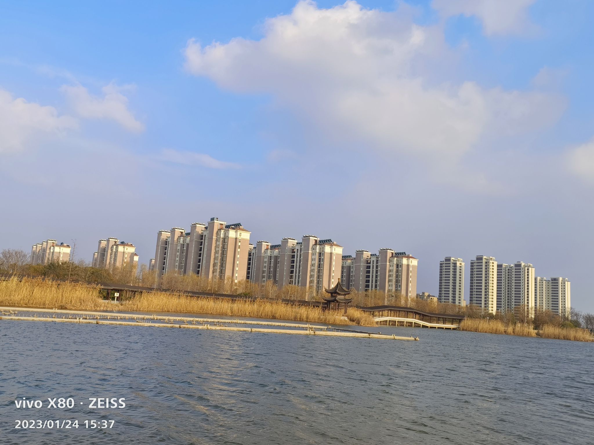 虹润湿地公园旅行图片 1