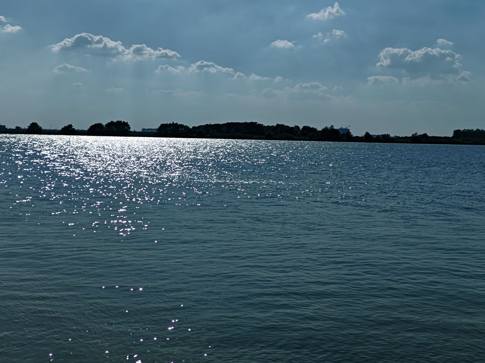 虹润湿地公园旅行图片 3