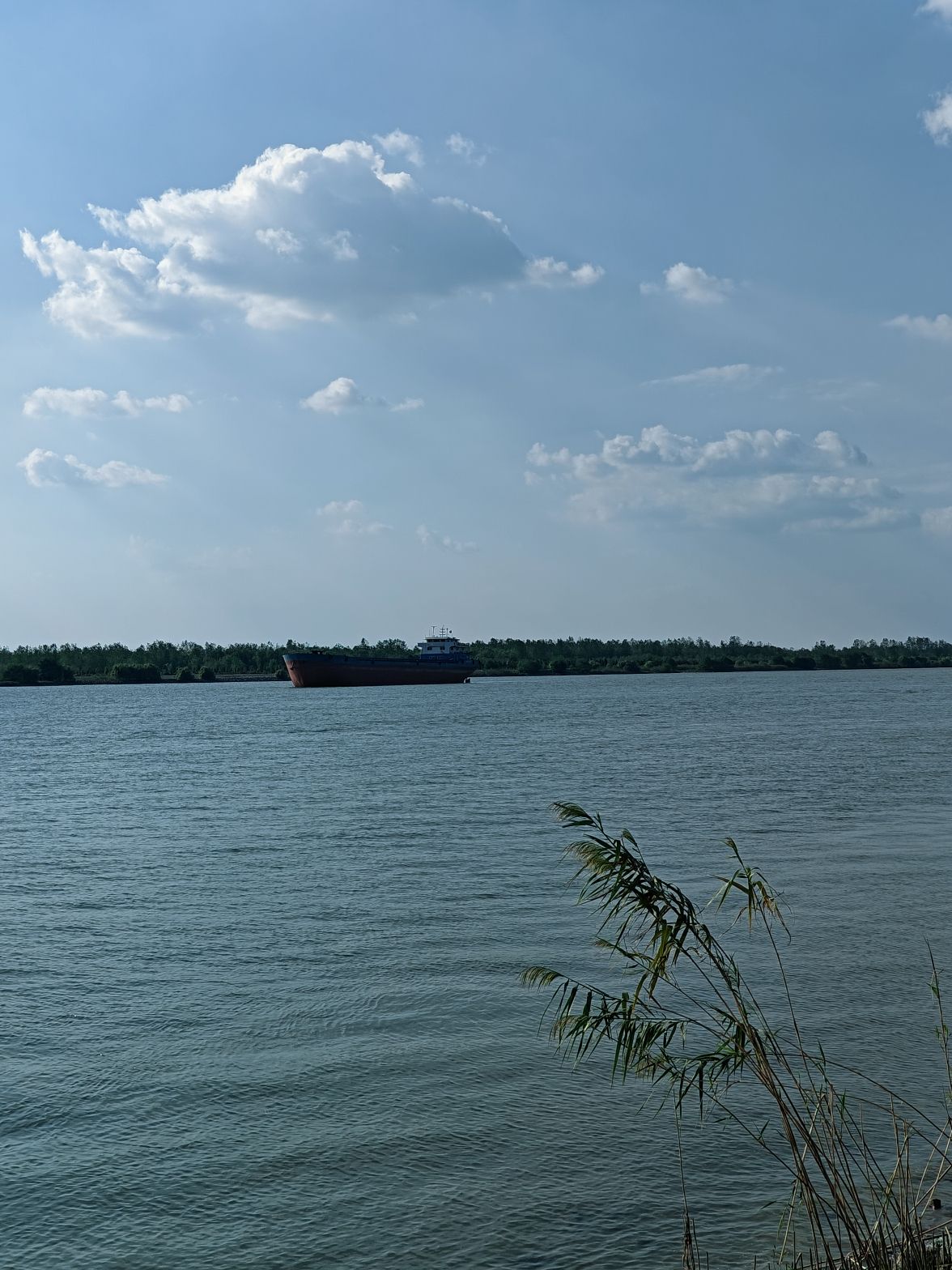 虹润湿地公园旅行图片 1