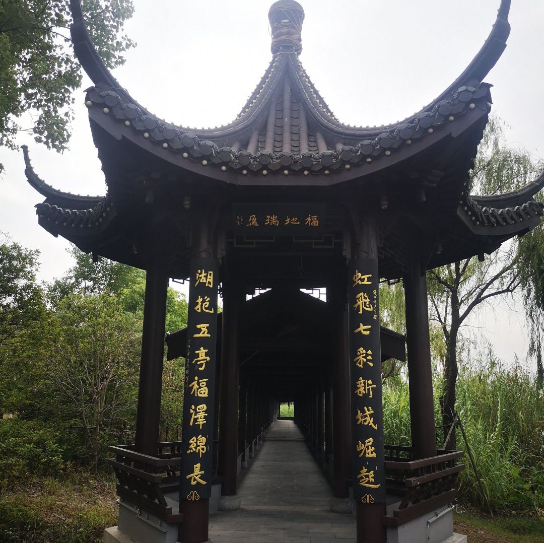 虹润湿地公园旅行图片 3