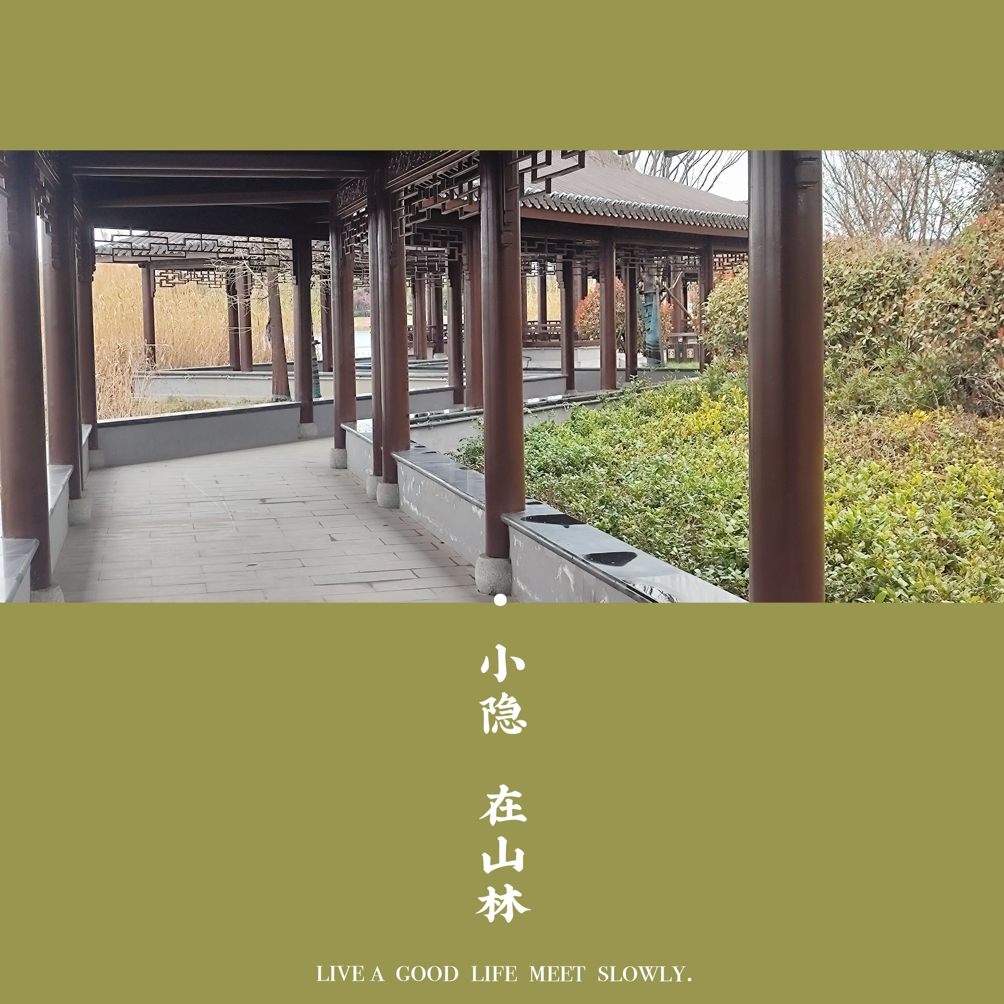 虹润湿地公园旅行图片 3