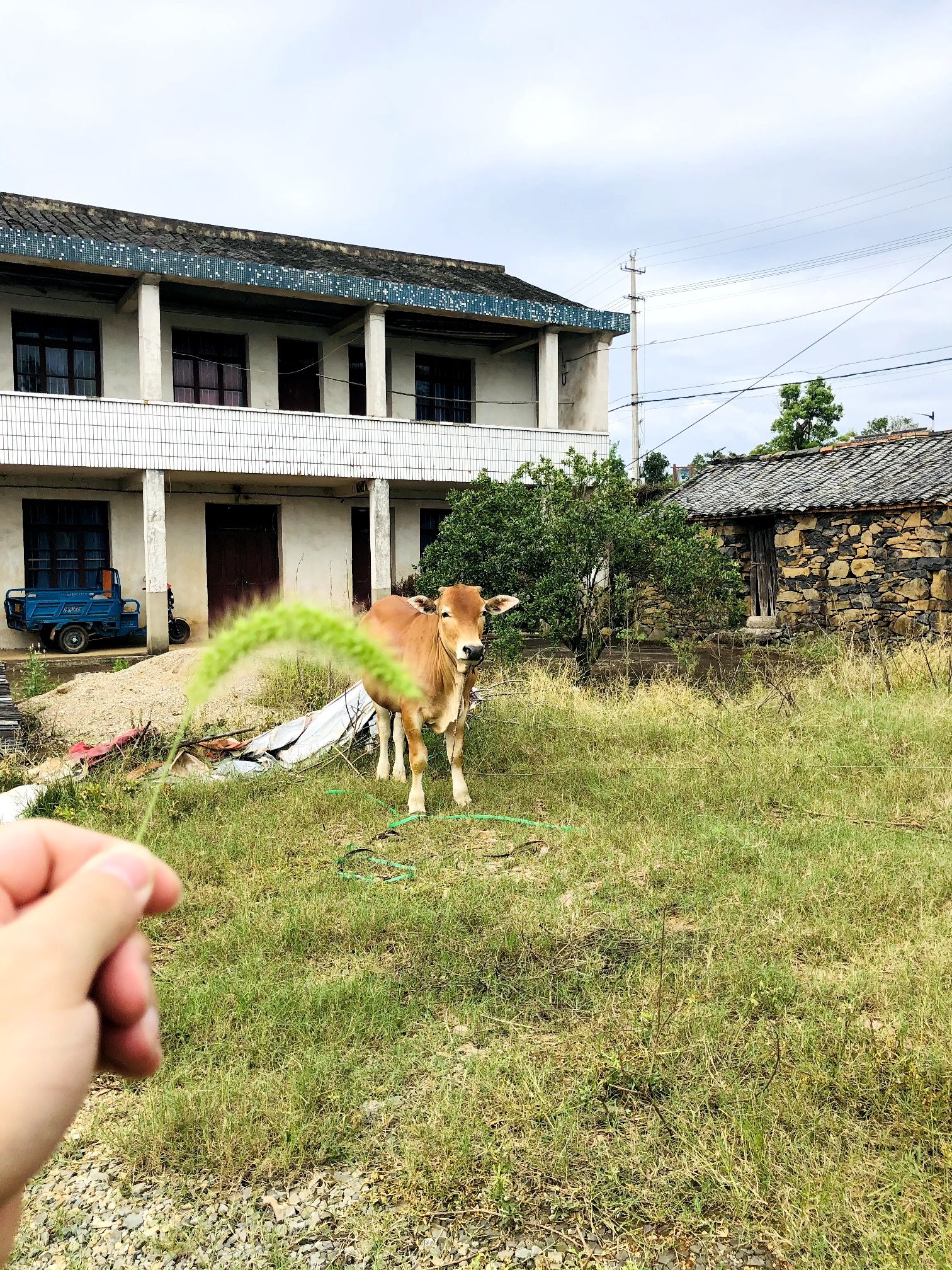 许家山旅行图片 3