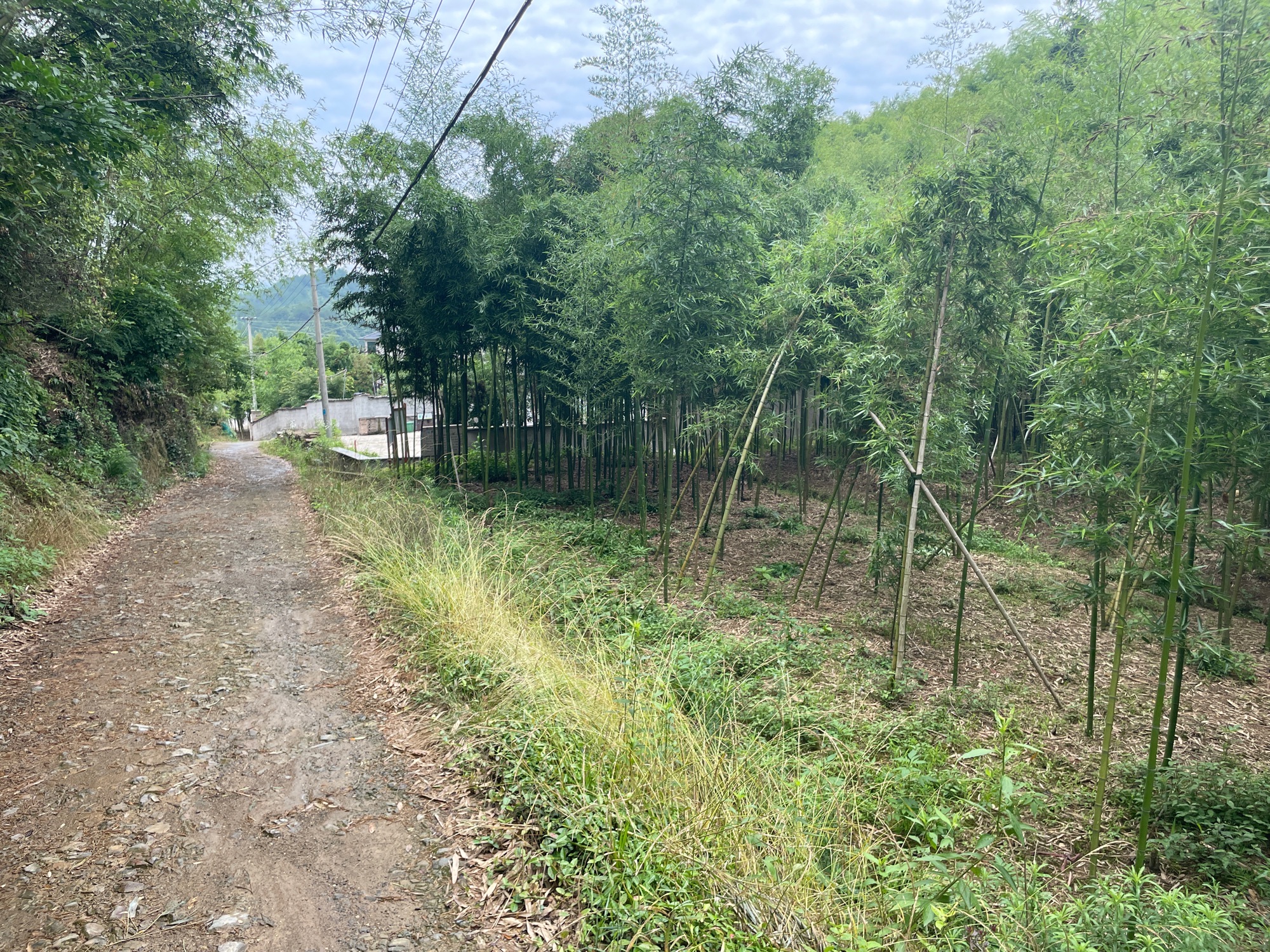 天目窑遗址群旅行图片 1