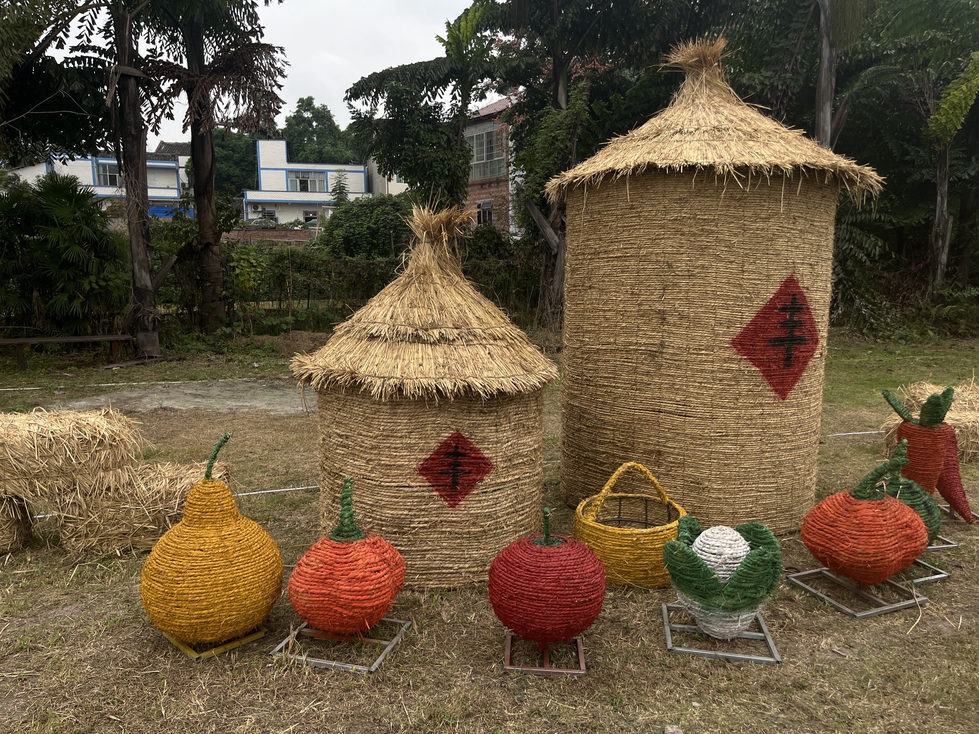 川南大草原旅行图片 3