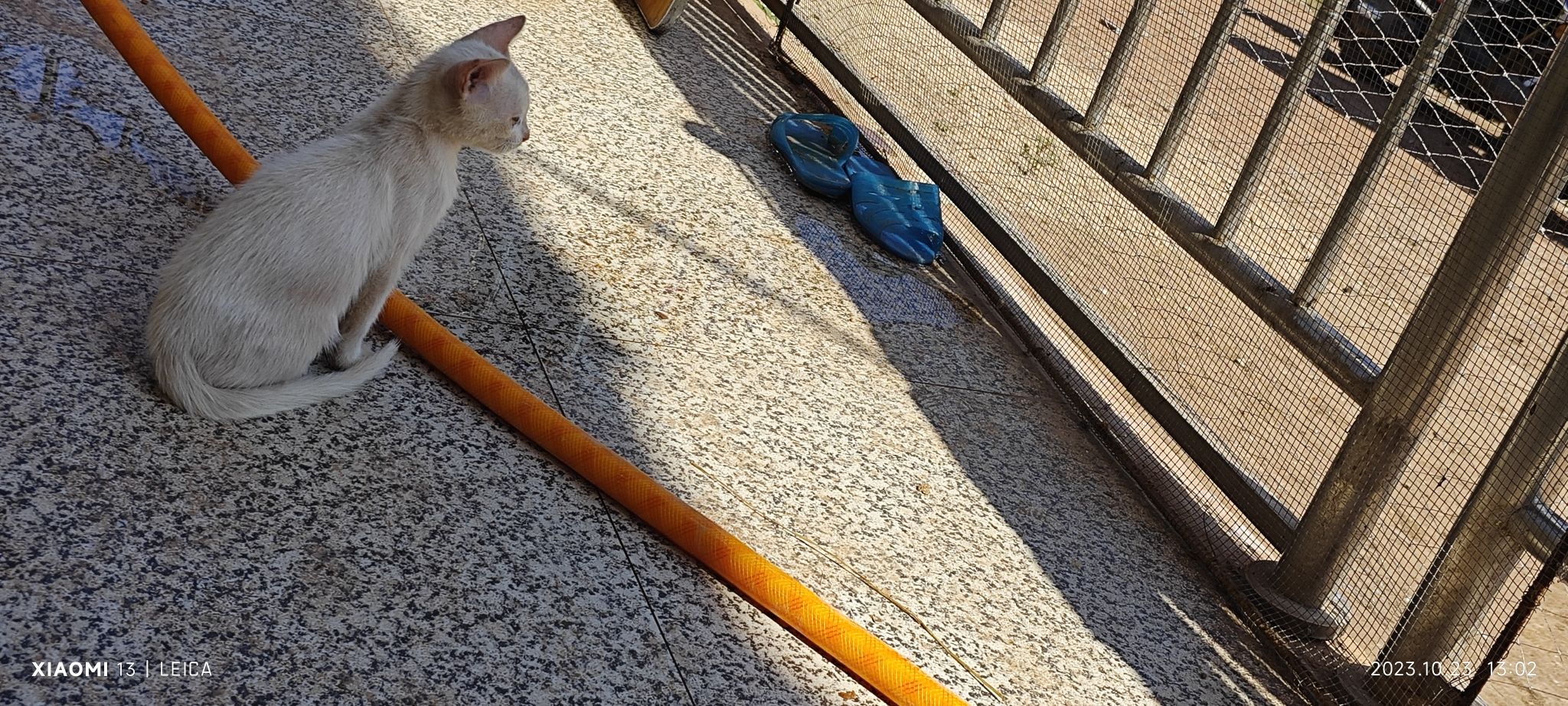 洛夫广场旅行图片 1