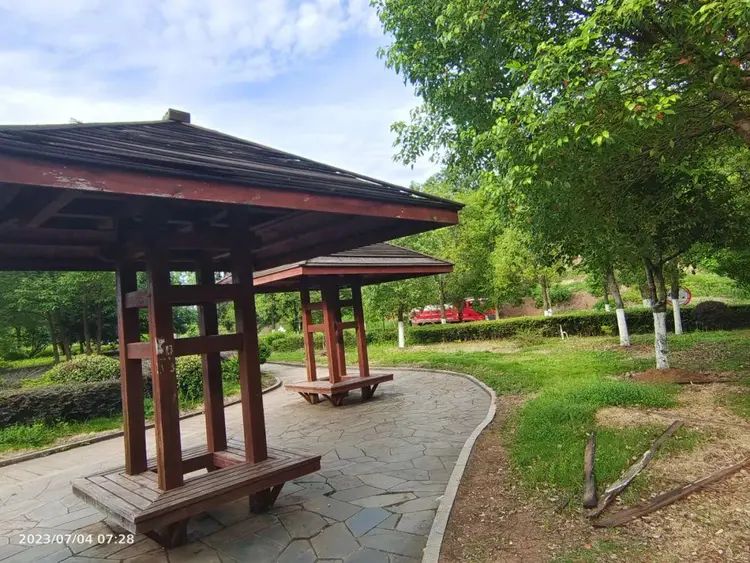 洛夫广场旅行图片 2