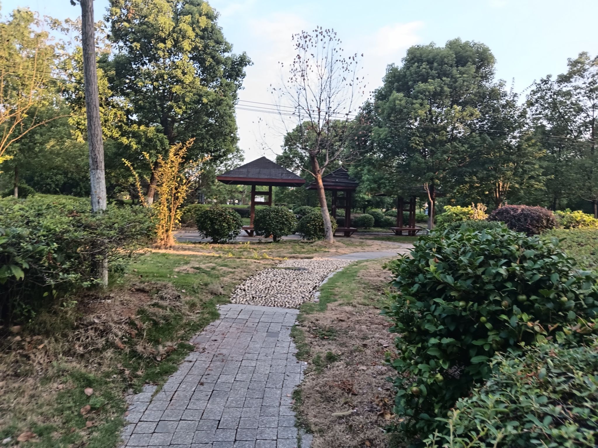 洛夫广场旅行图片 2