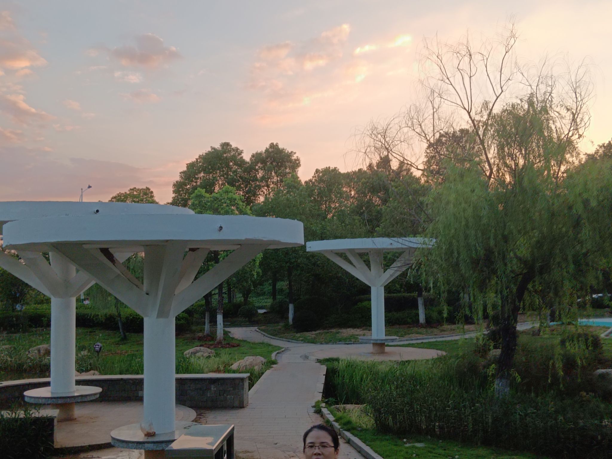 洛夫广场旅行图片 3