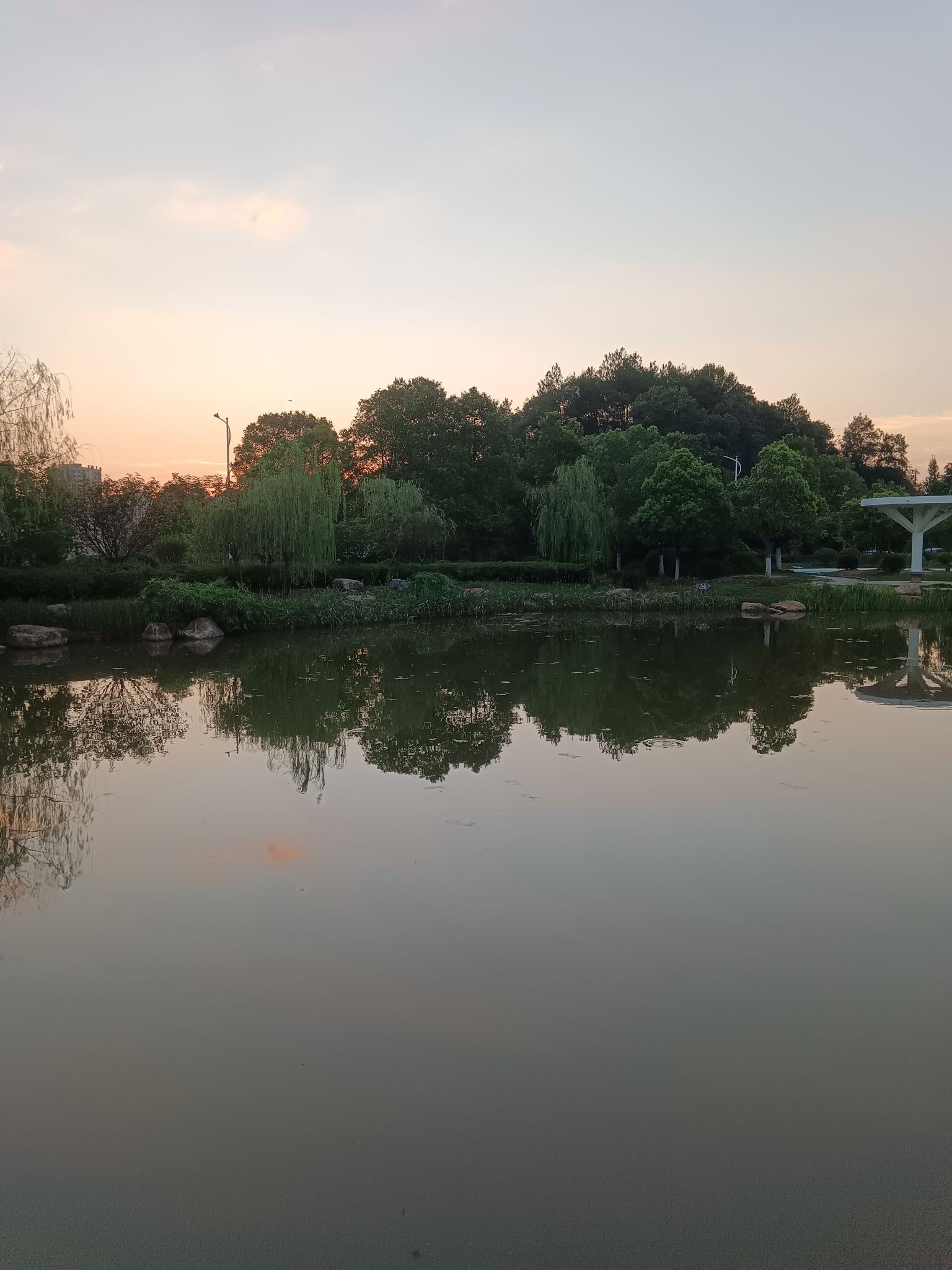 洛夫广场旅行图片 1