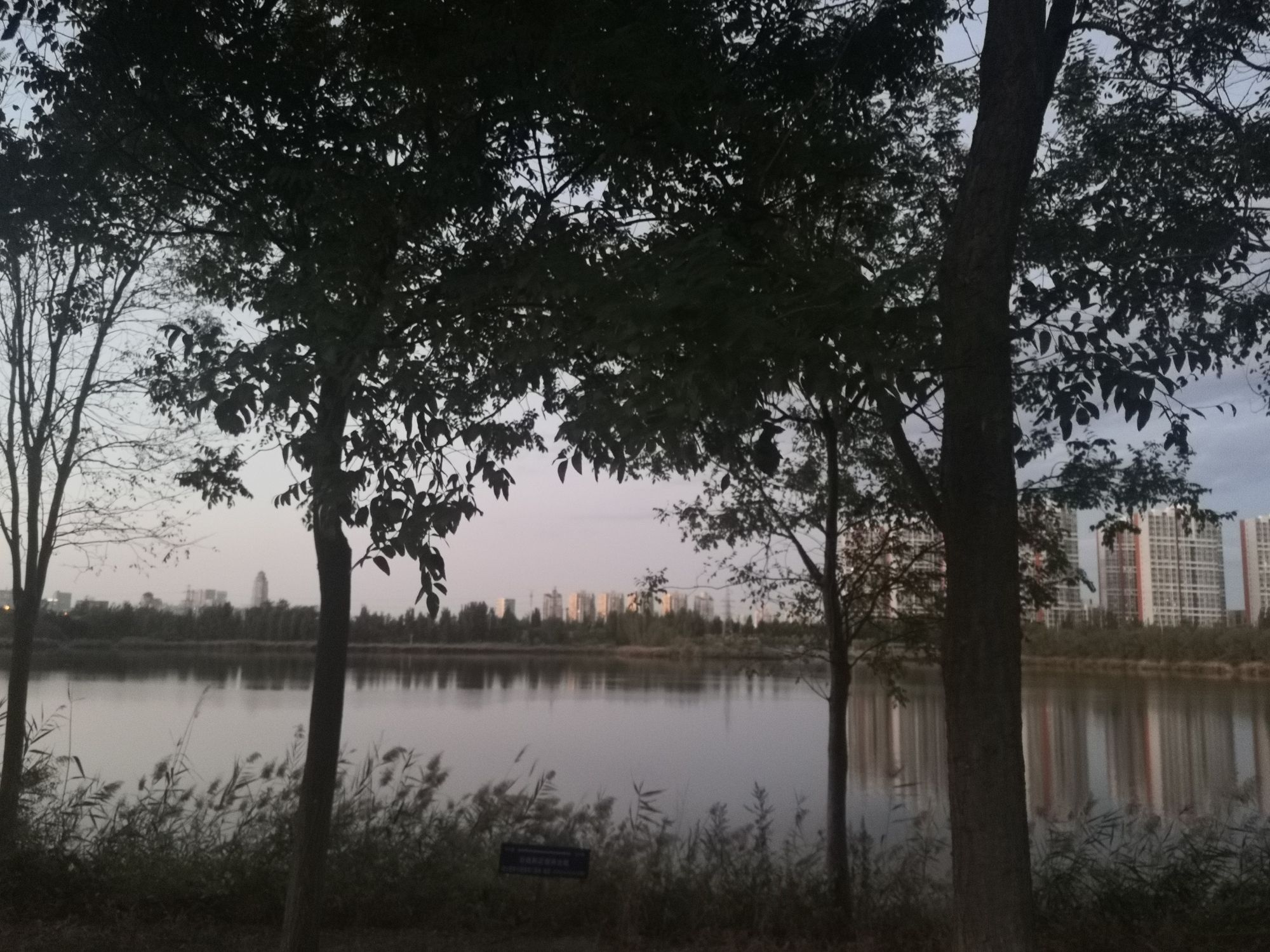 秋水湖旅行图片