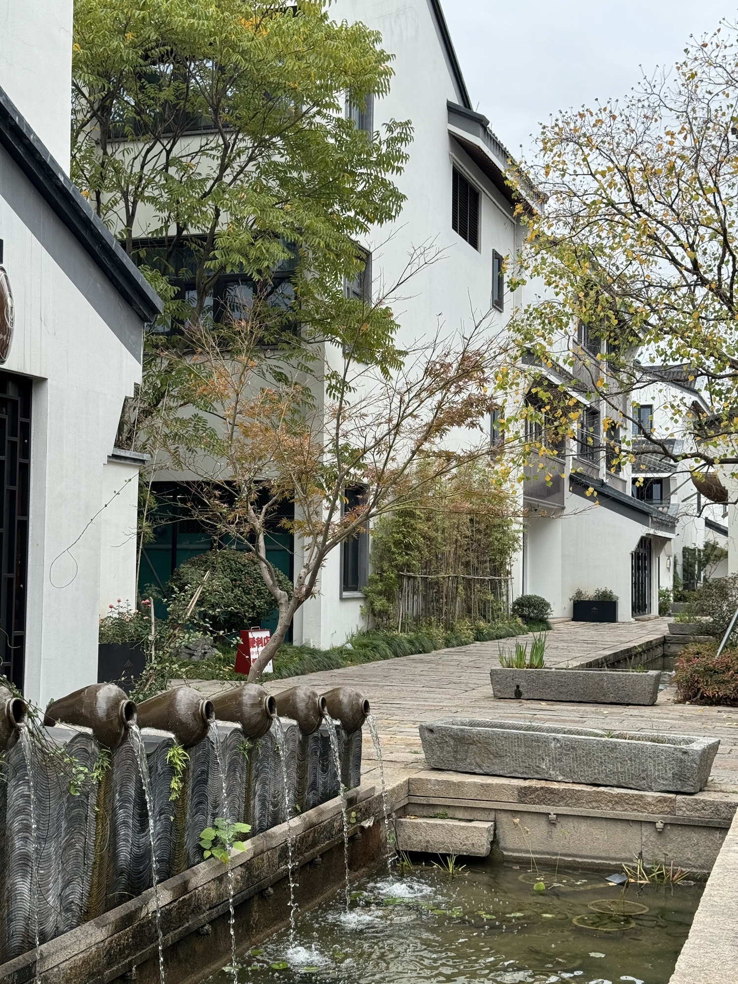 芦席汇旅行图片 3