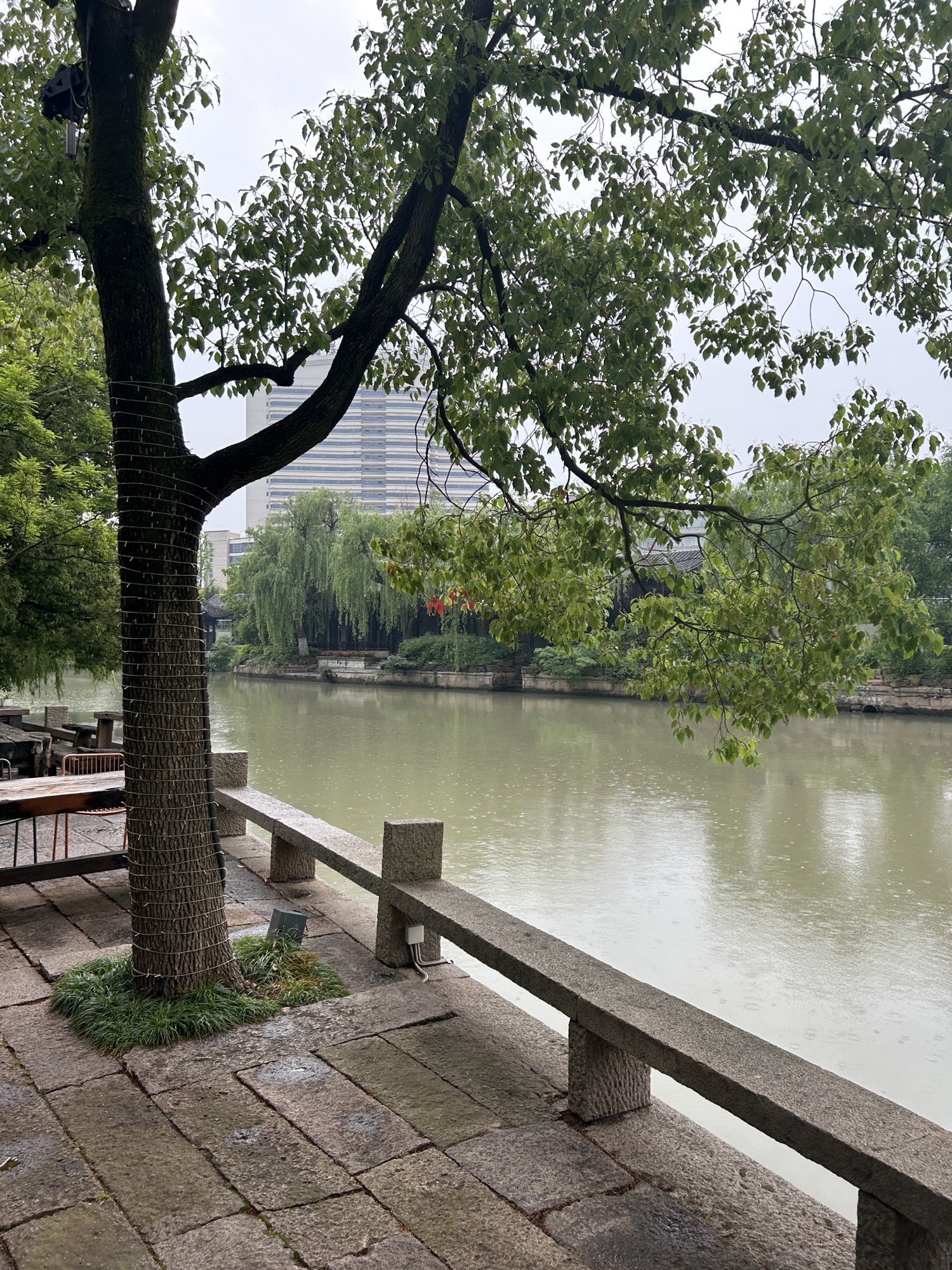 芦席汇旅行图片 3