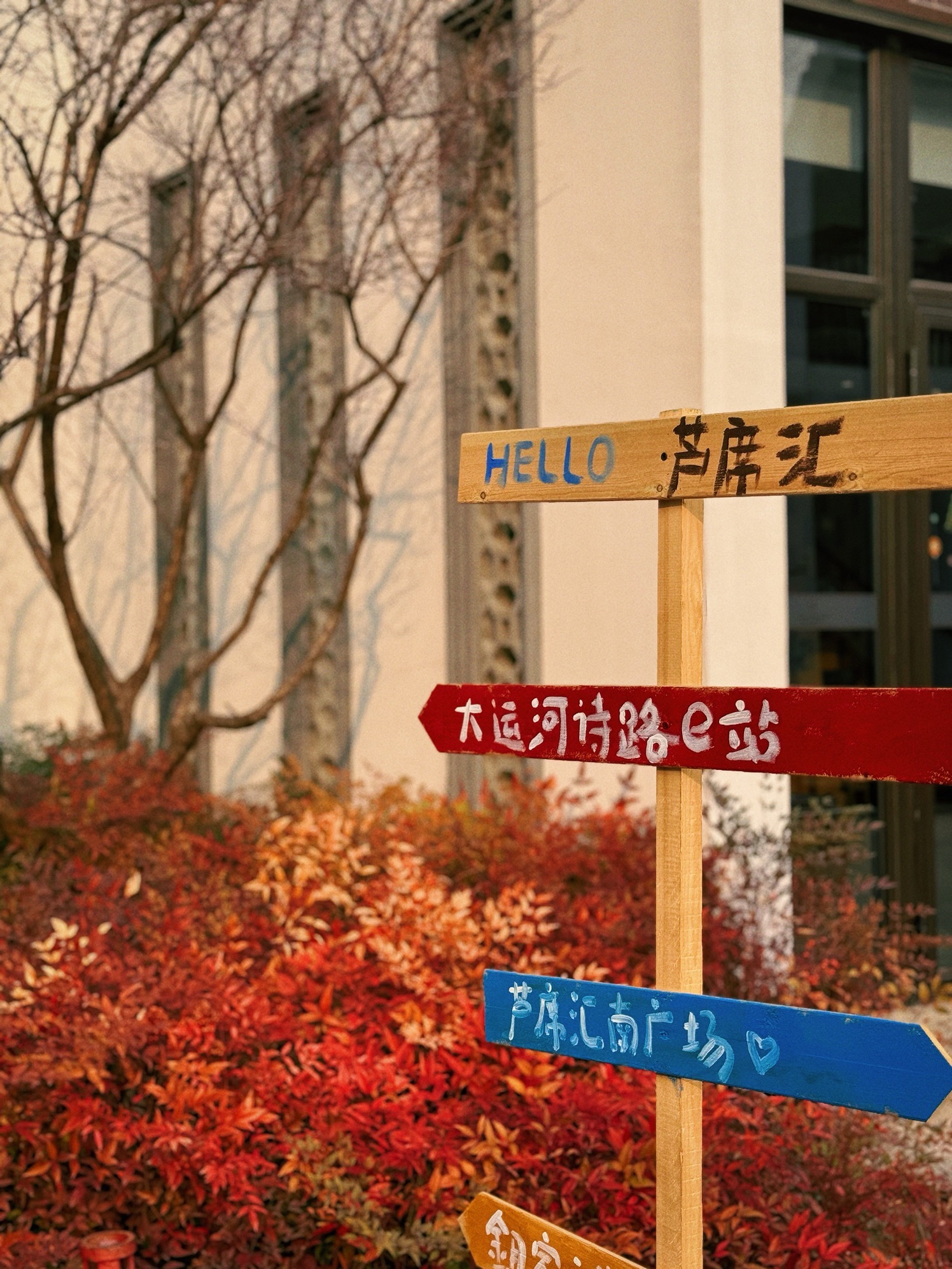 芦席汇旅行图片 3