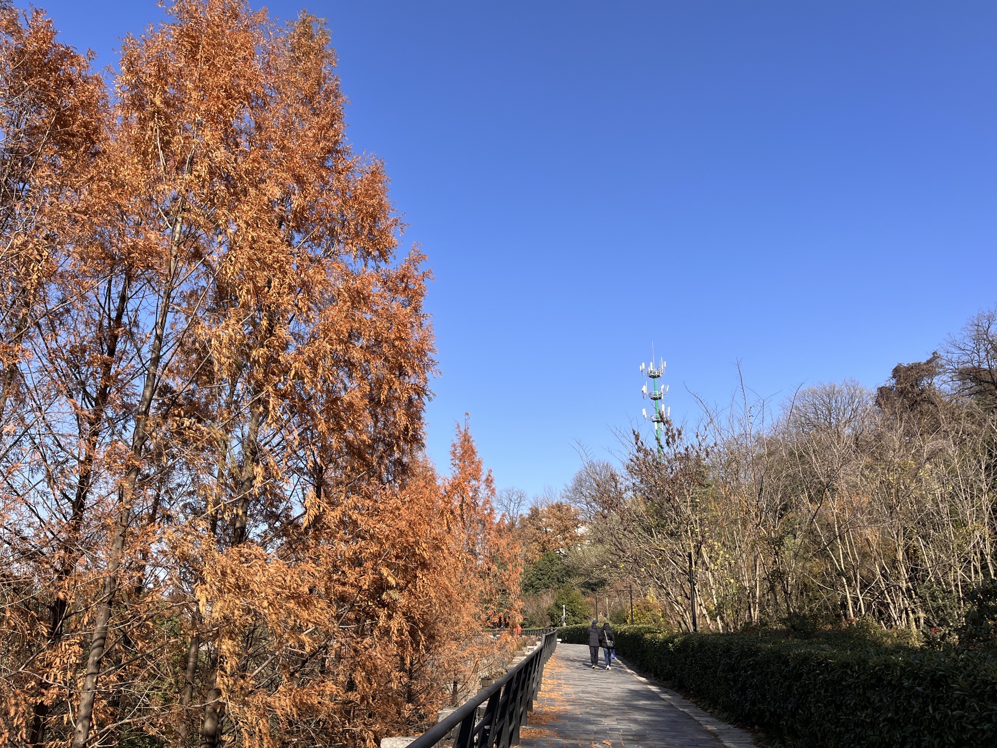 南京城墙挹江门登城口旅行图片 3