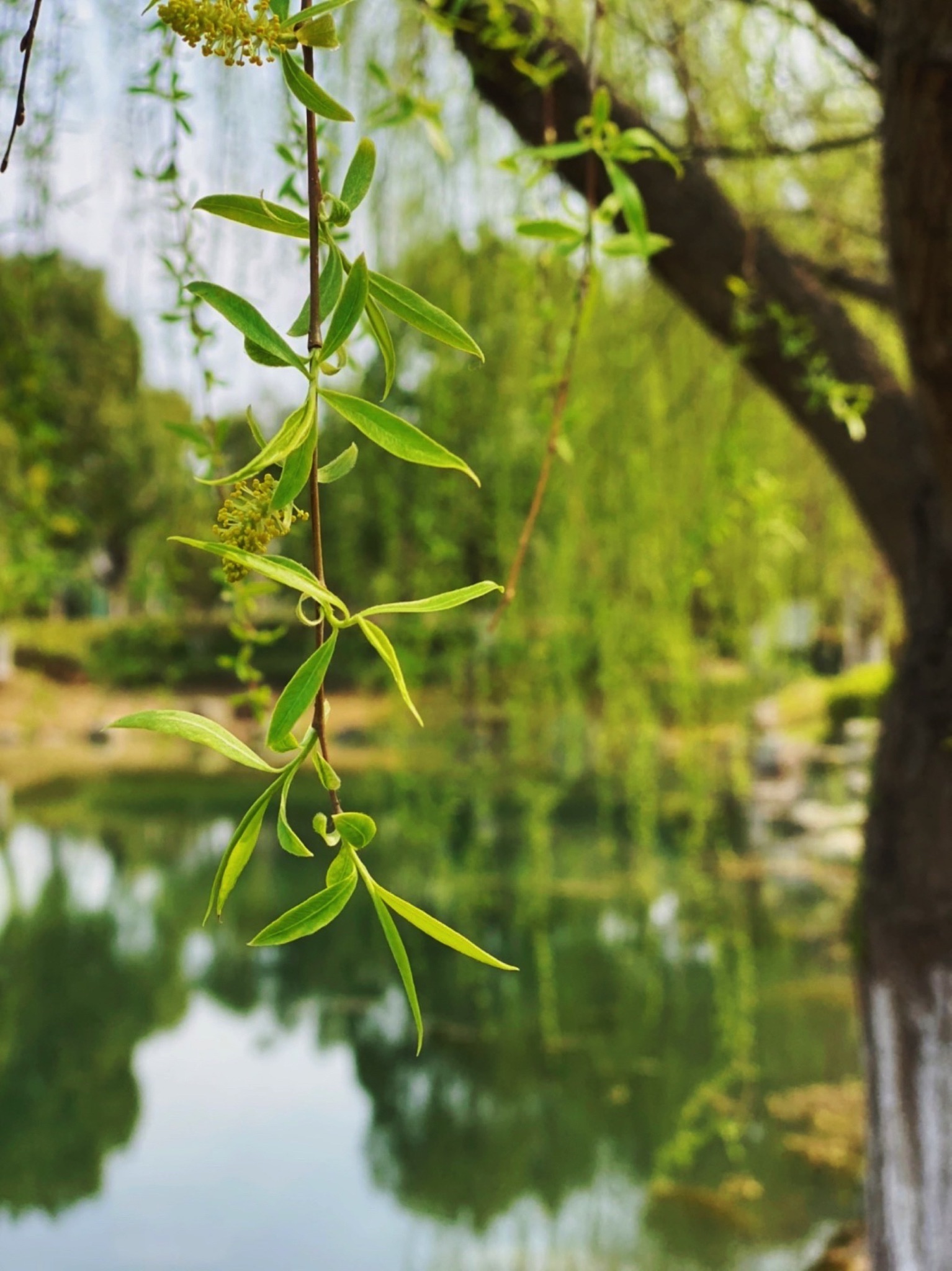 赞山良渚文化公园旅行图片 1