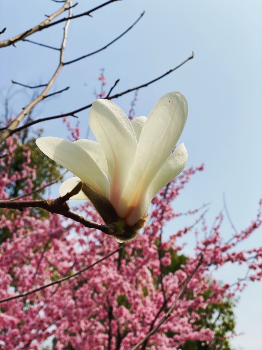 赞山良渚文化公园旅行图片 3